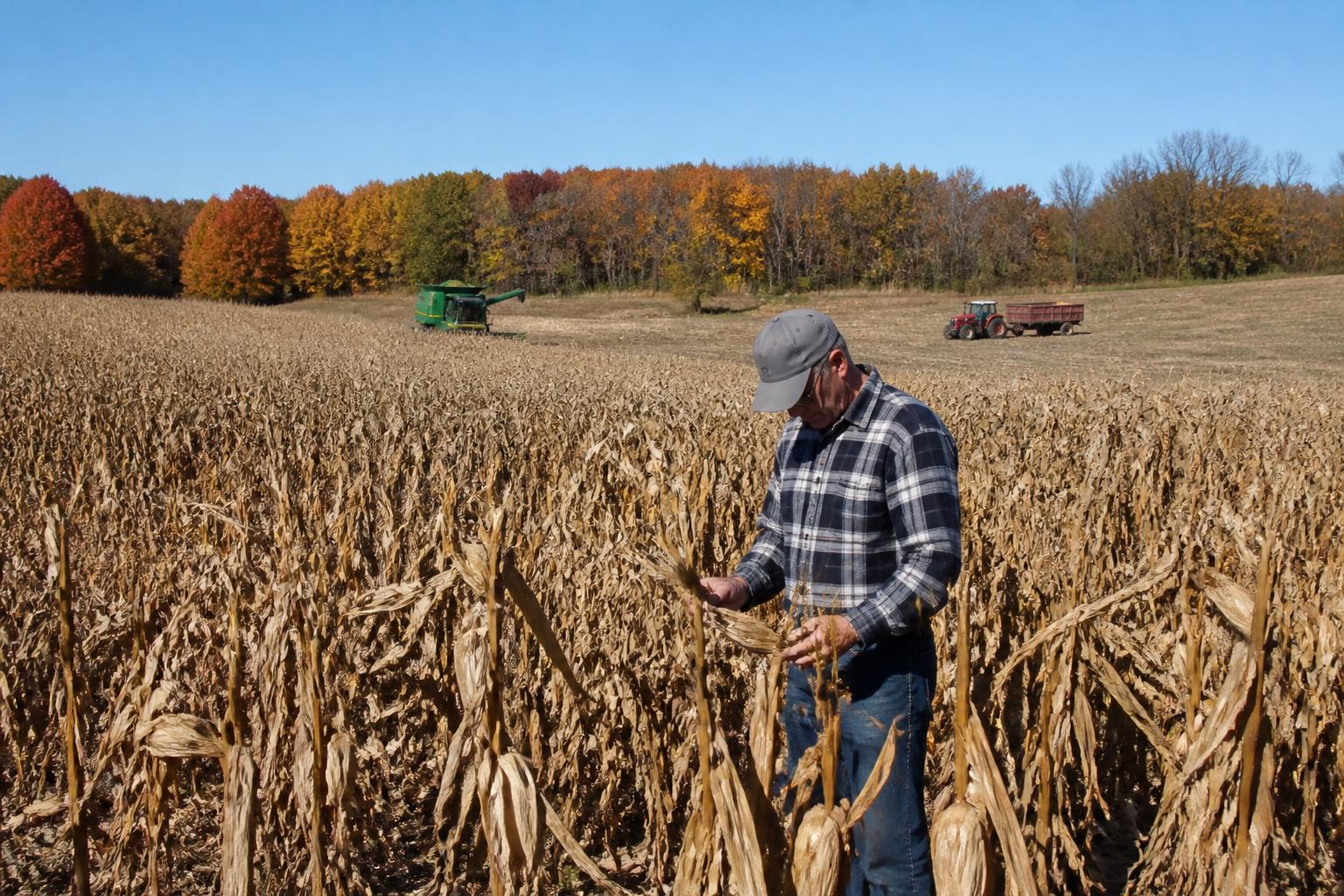 Michigan Fertilizer Outlook: Evaluating Local Supply Shifts and Input Costs - AgroPost