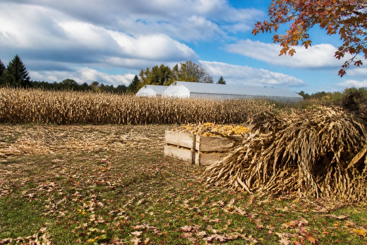 Arizona Ag Tech Investment: Expanding Infrastructure for a Changing Harvest