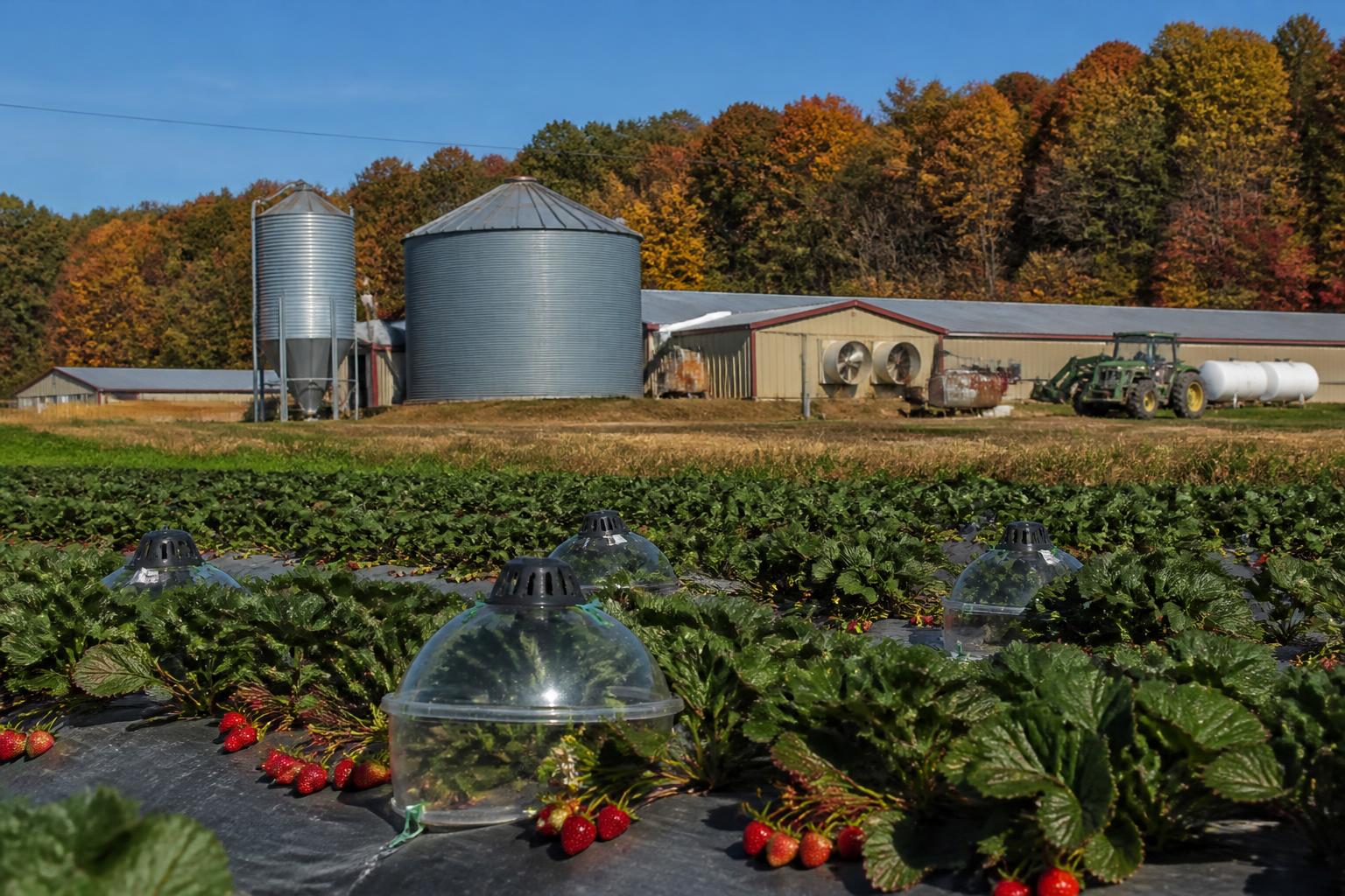 North Carolina Logistics: Managing Fall Harvest Throughput and Fertilizer Safety - AgroPost
