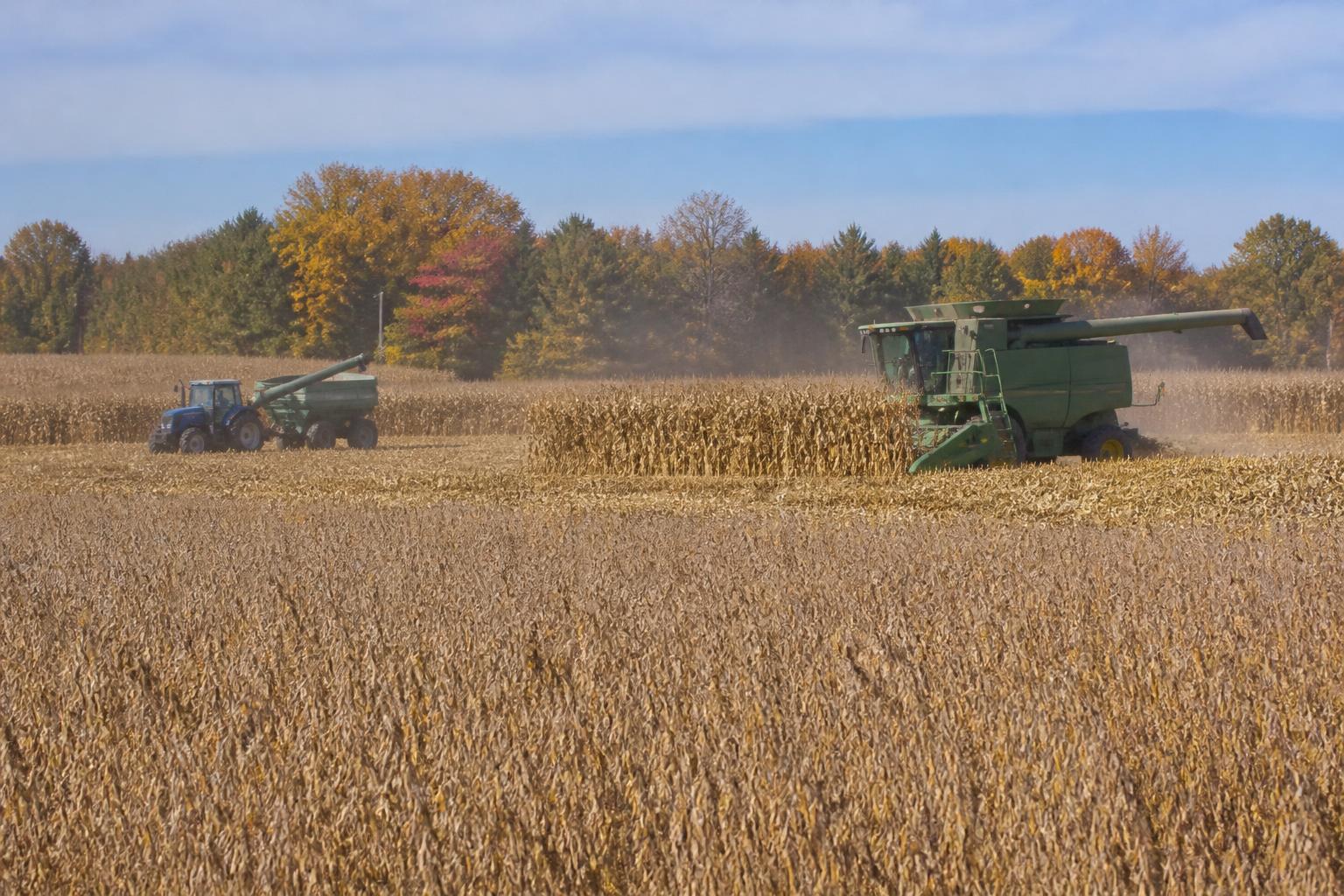 Washington Growers Face Shifting Trade Landscapes and Rising Input Pressures