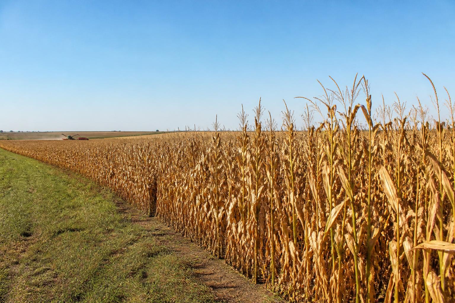 Managing Economic Headwinds and Input Costs in Hawaii Agriculture - AgroPost