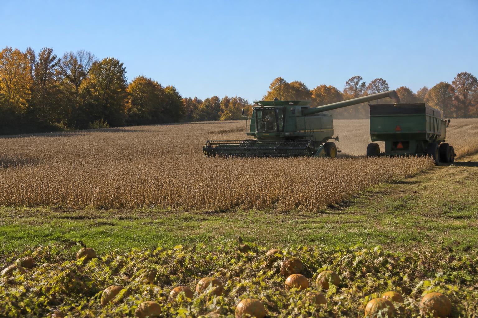 Logistics and Supply Chain Resilience in Georgia's Evolving Ag Landscape - AgroPost