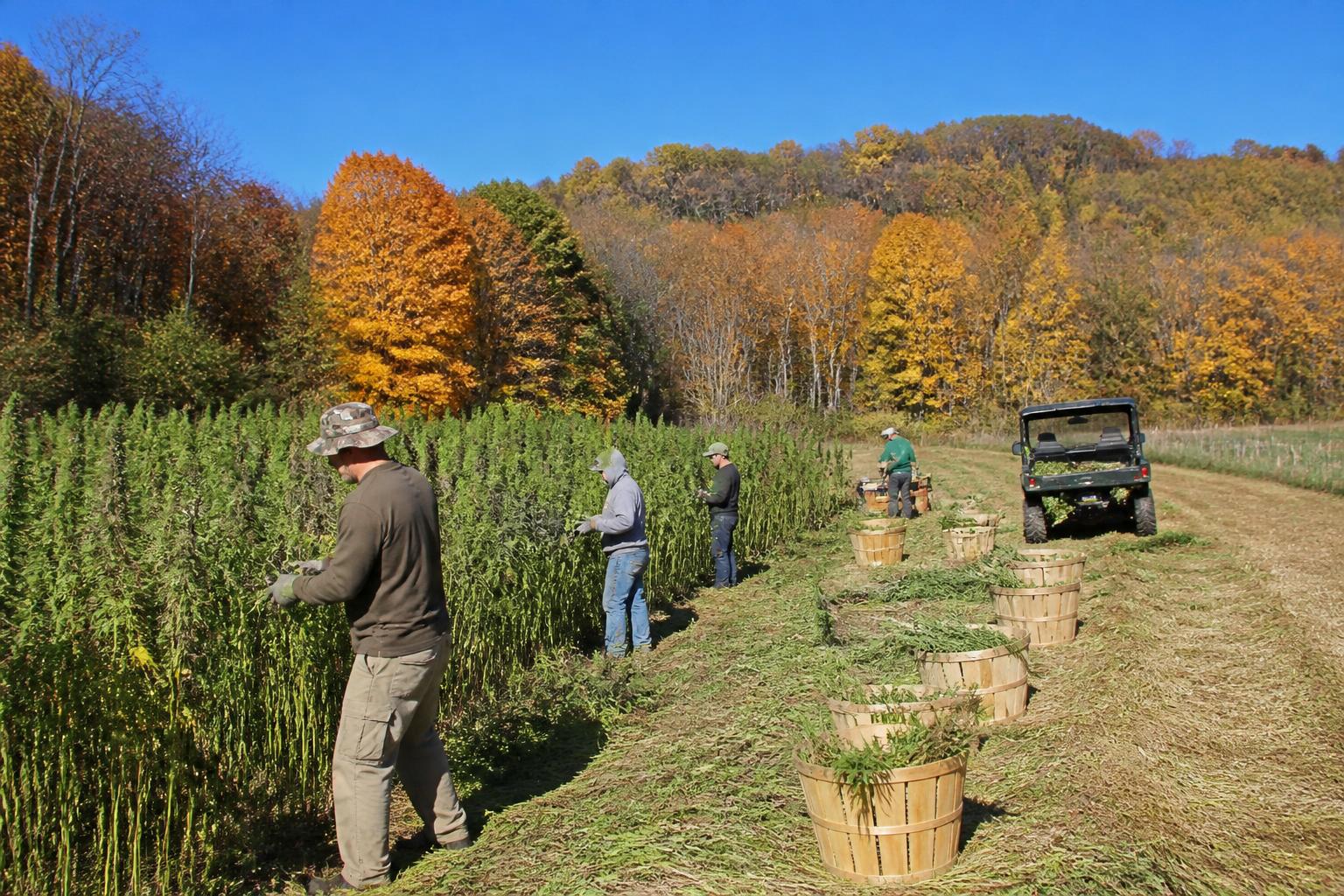 Kentucky Market Outlook: Balancing Seasonal Momentum and Agricultural Diversity