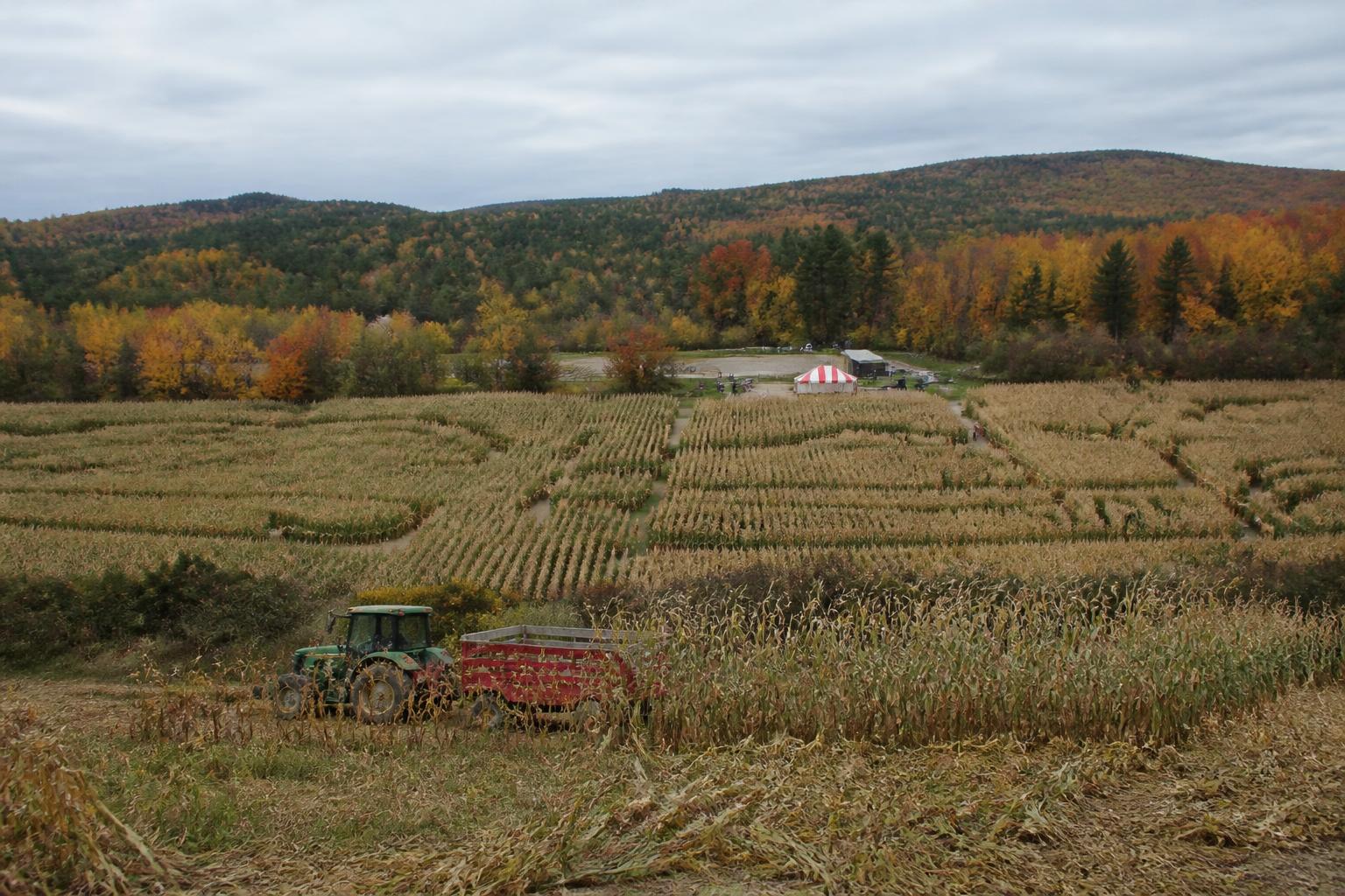 New Hampshire Growers Navigate Challenging Harvest Conditions - AgroPost