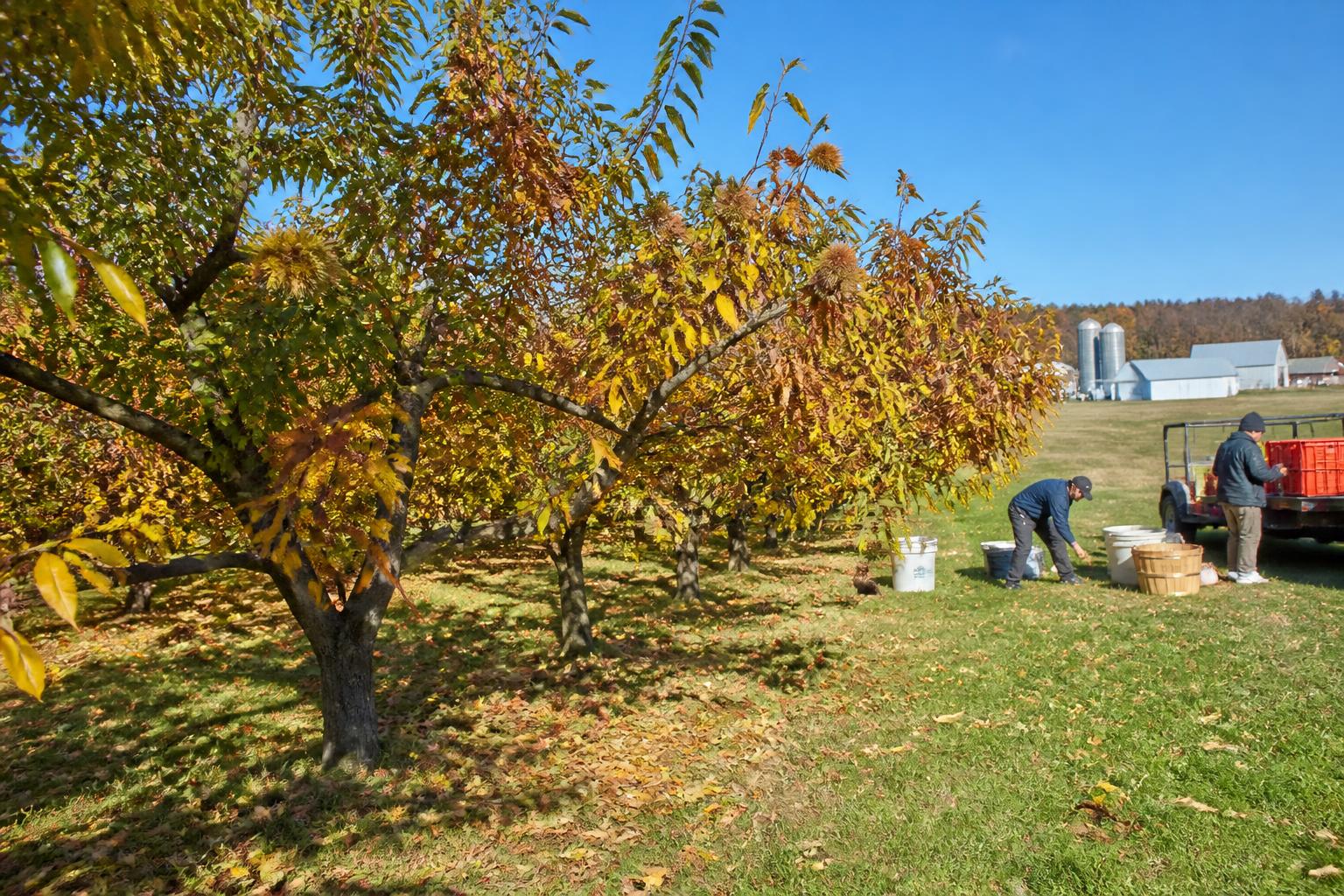 Michigan Harvest Logistics: Managing Input Costs and Seasonal Transport Pressures - AgroPost