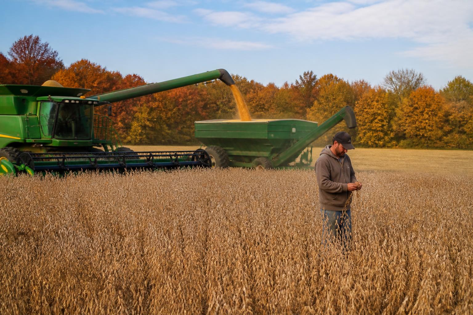 Managing Illinois Field Pressures as Harvest Season Peaks - AgroPost