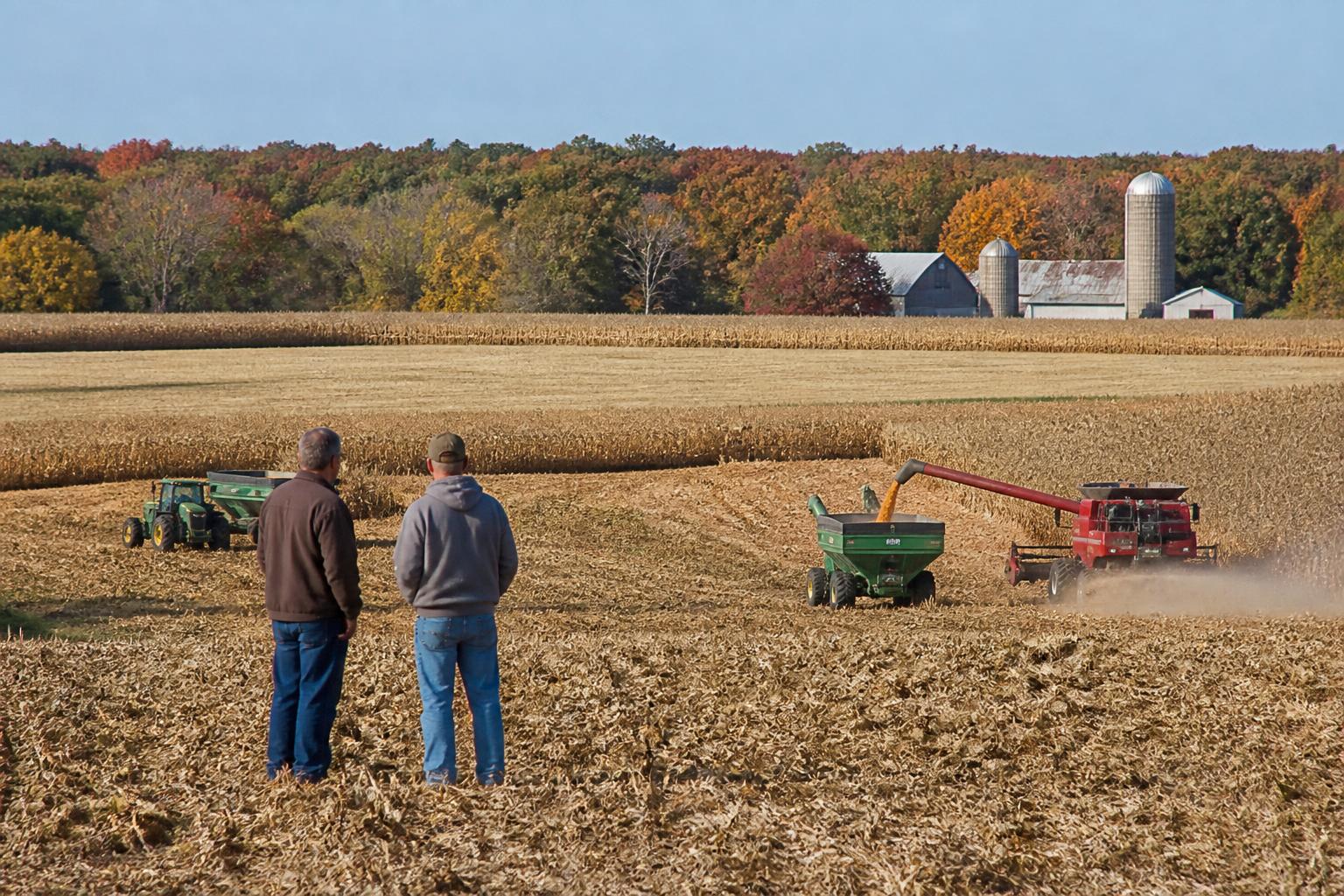 Iowa Fertilizer Market Dynamics: Balancing Farm Costs and Industry Transparency