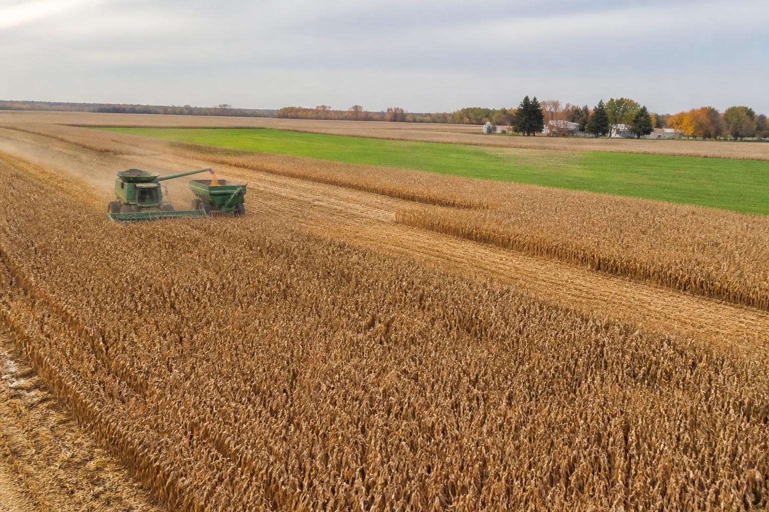 Illinois Harvest Season: Assessing Field Pressures and Logistics - AgroPost