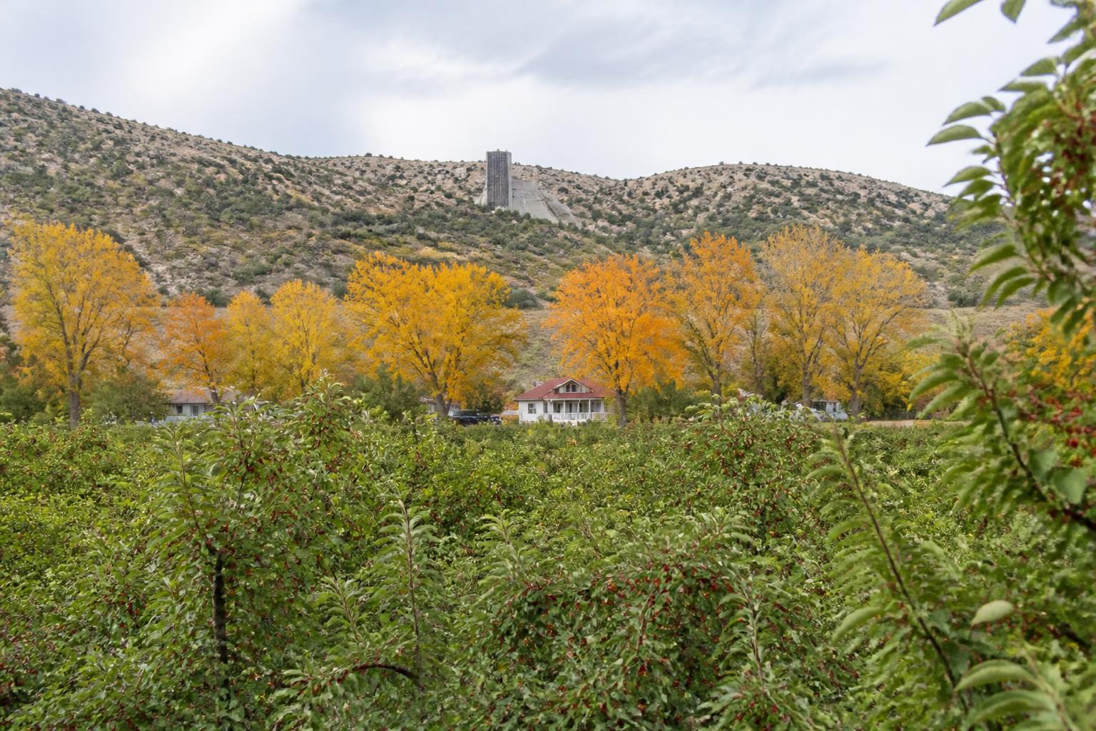 Utah Grain Producers Face Tight Margins and Operational Headwinds This Fall