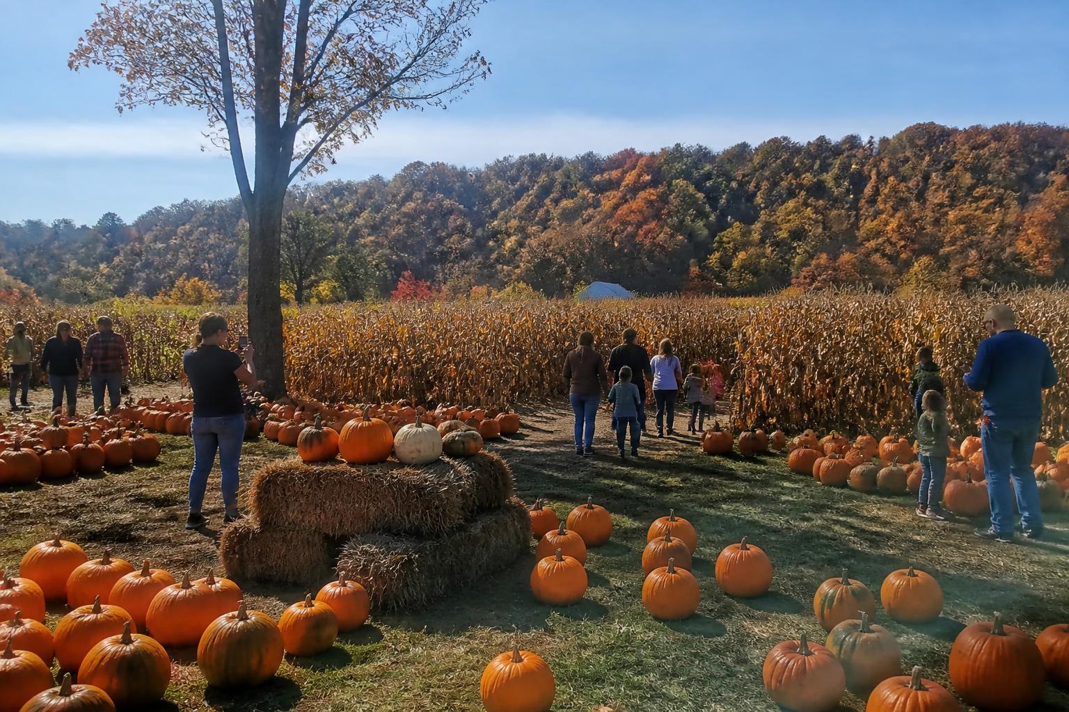 West Virginia Harvest Update: Balancing Logistics and Late-Season Market Pressures