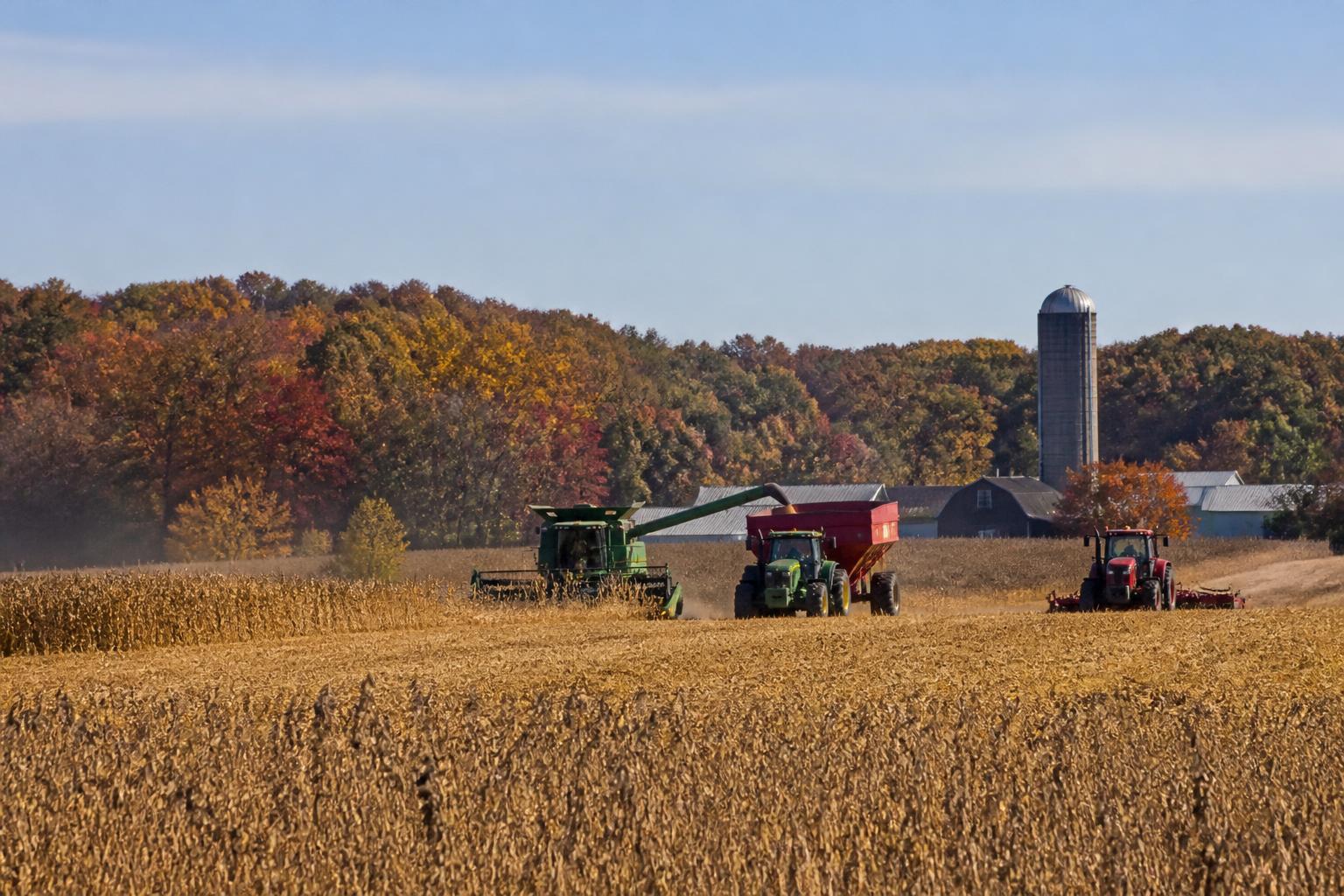 Wisconsin Grain Markets Hold Firm as Harvest Operations Accelerate