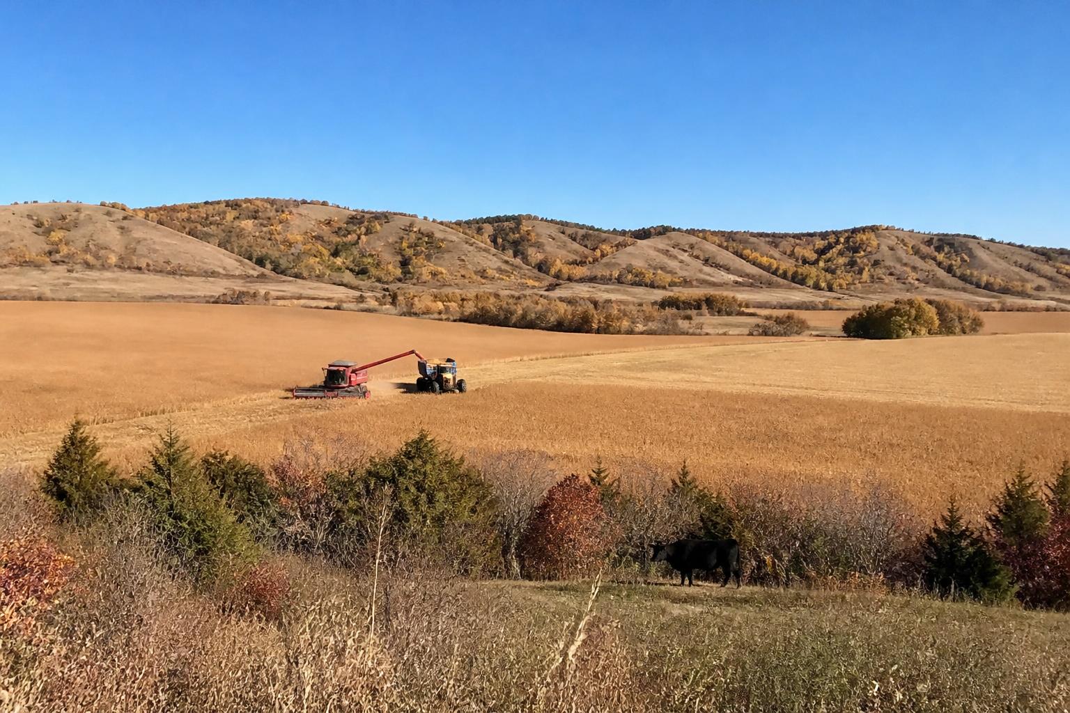 North Dakota Harvest Logistics and Infrastructure Outlook