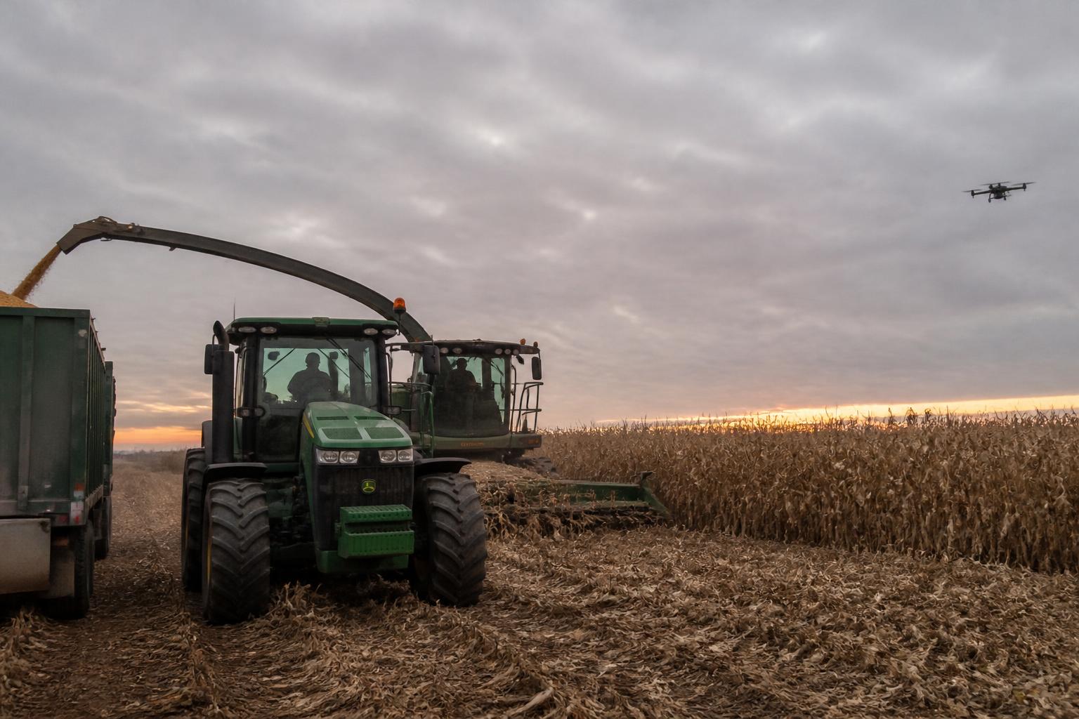 Navigating Operational Risks: Michigan Corn and Specialty Crops This Fall