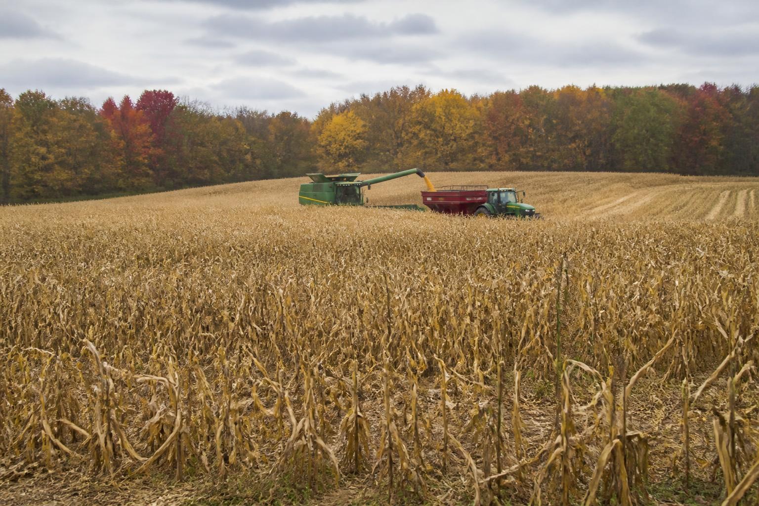 Biosecurity Focus Intensifies as Wisconsin Livestock Producers Manage Seasonal Risks