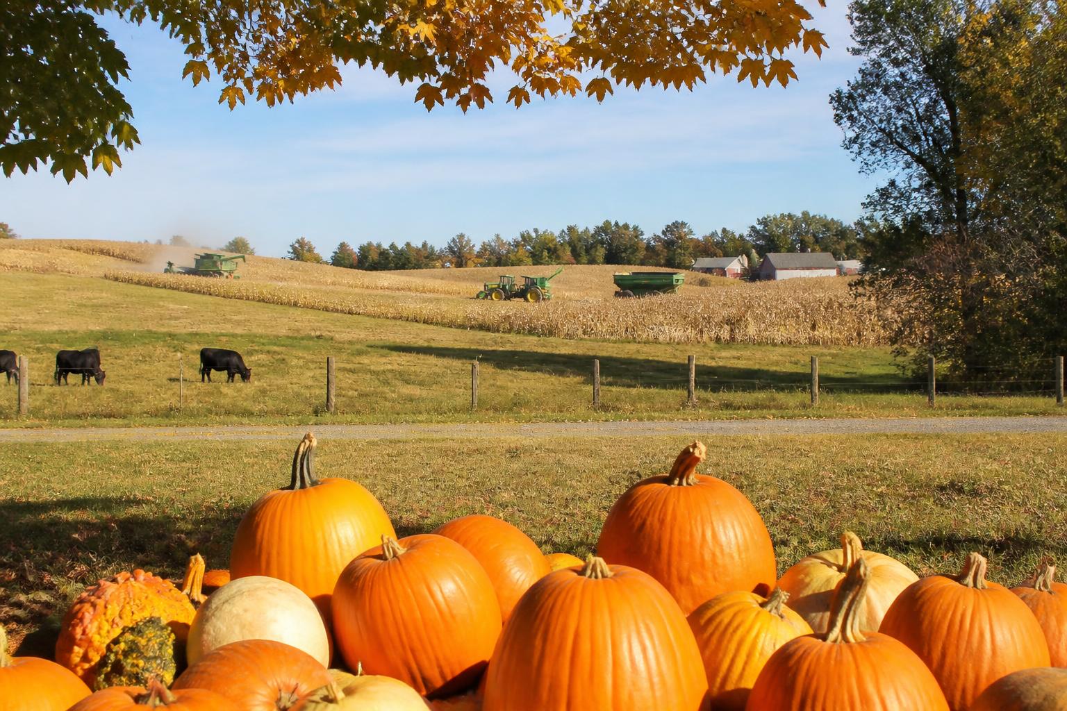 Fall Logistics Update: Georgia Ag Sector Navigates Evolving Infrastructure and Export Flow - AgroPost