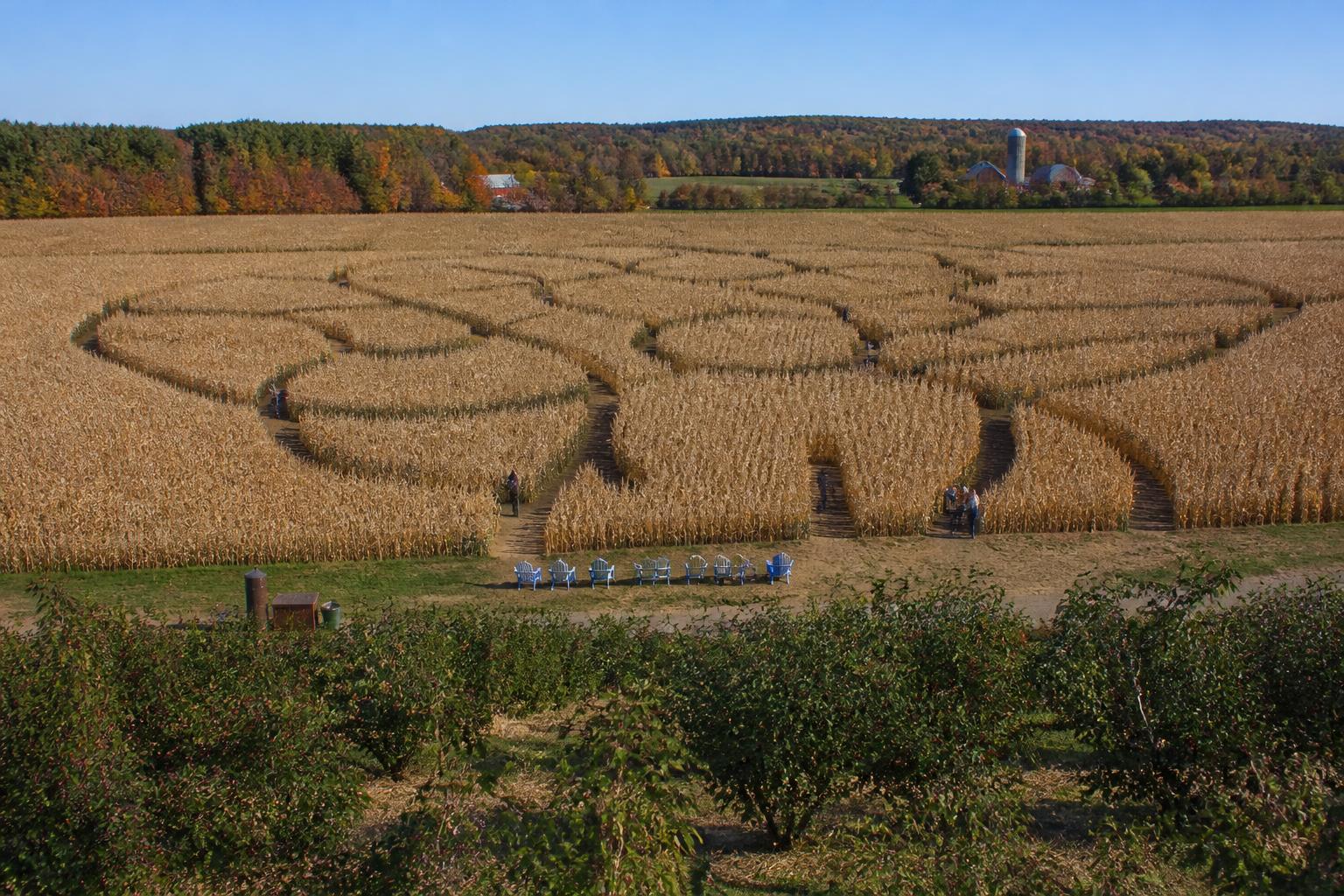 Michigan Crop Progress and Harvest Timing: Mid-October Update - AgroPost
