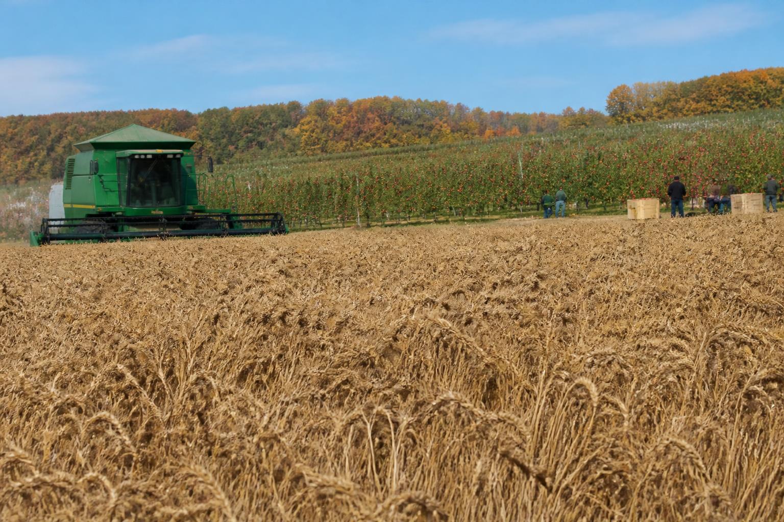 Maine Grain Sector Looks Toward Infrastructure Investment This Fall