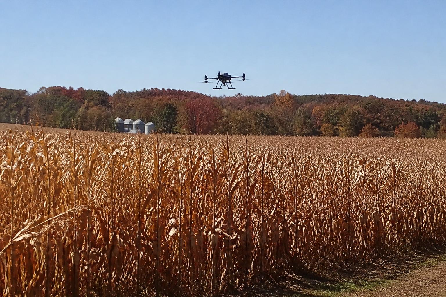 Optimizing Ohio Grain Logistics: Managing Flow and Infrastructure as Harvest Progresses - AgroPost