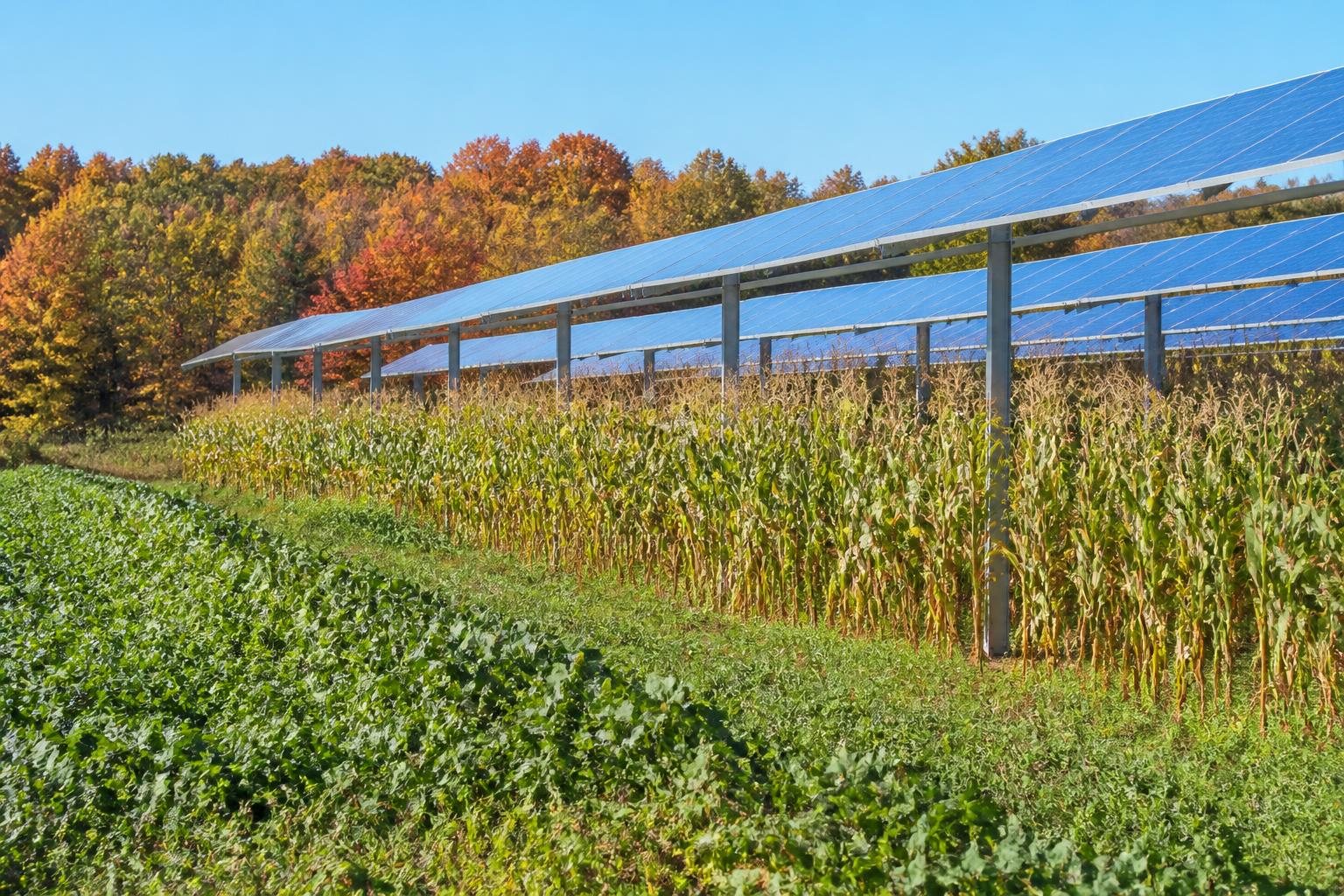 Massachusetts Agriculture Navigates Input Shifts and Resource Strategy This Fall - AgroPost