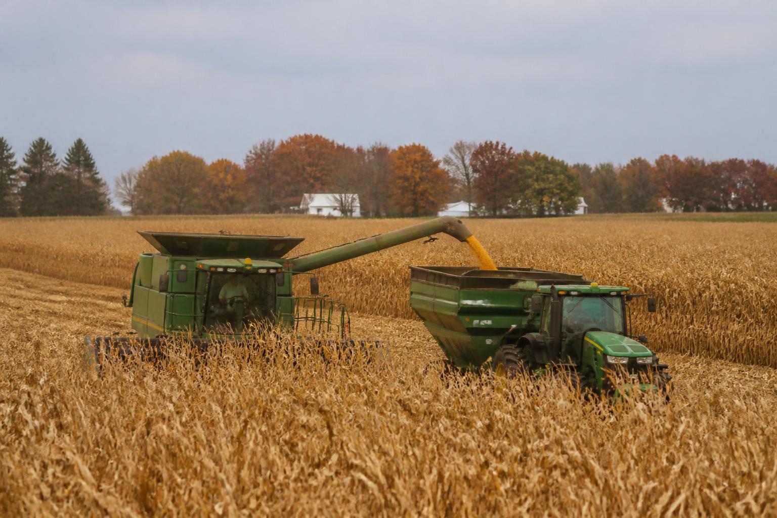 Minnesota Grain Logistics: Navigating Evolving Supply Chain Pressures