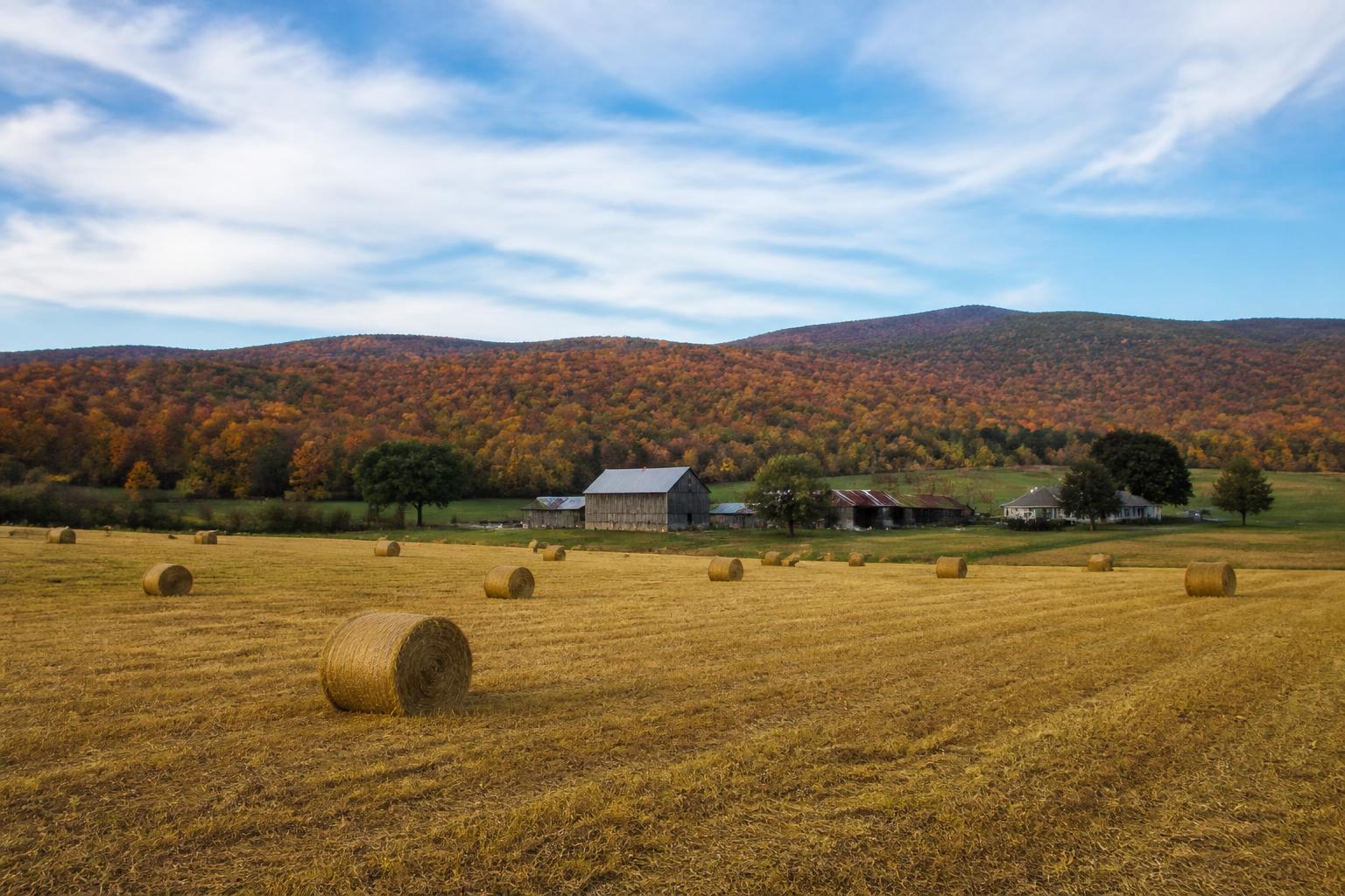 West Virginia Logistics and Field Access: Navigating Fall Operational Realities