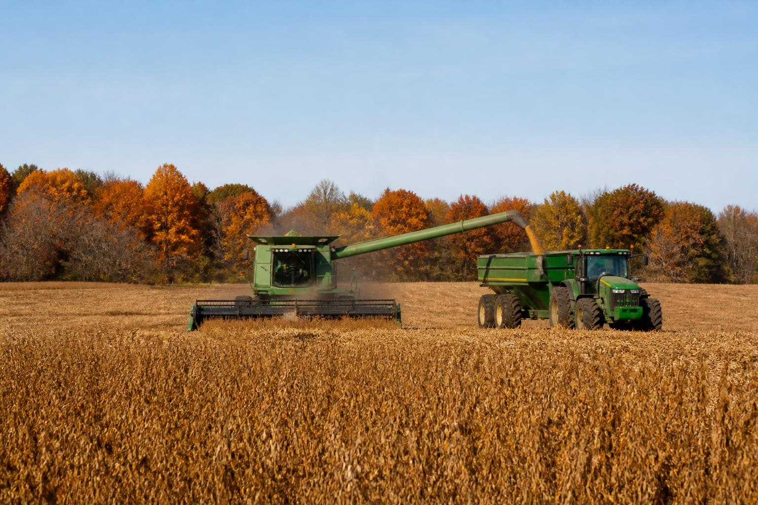 Minnesota Grain Logistics: Navigating Harvesting Pace and Infrastructure Constraints