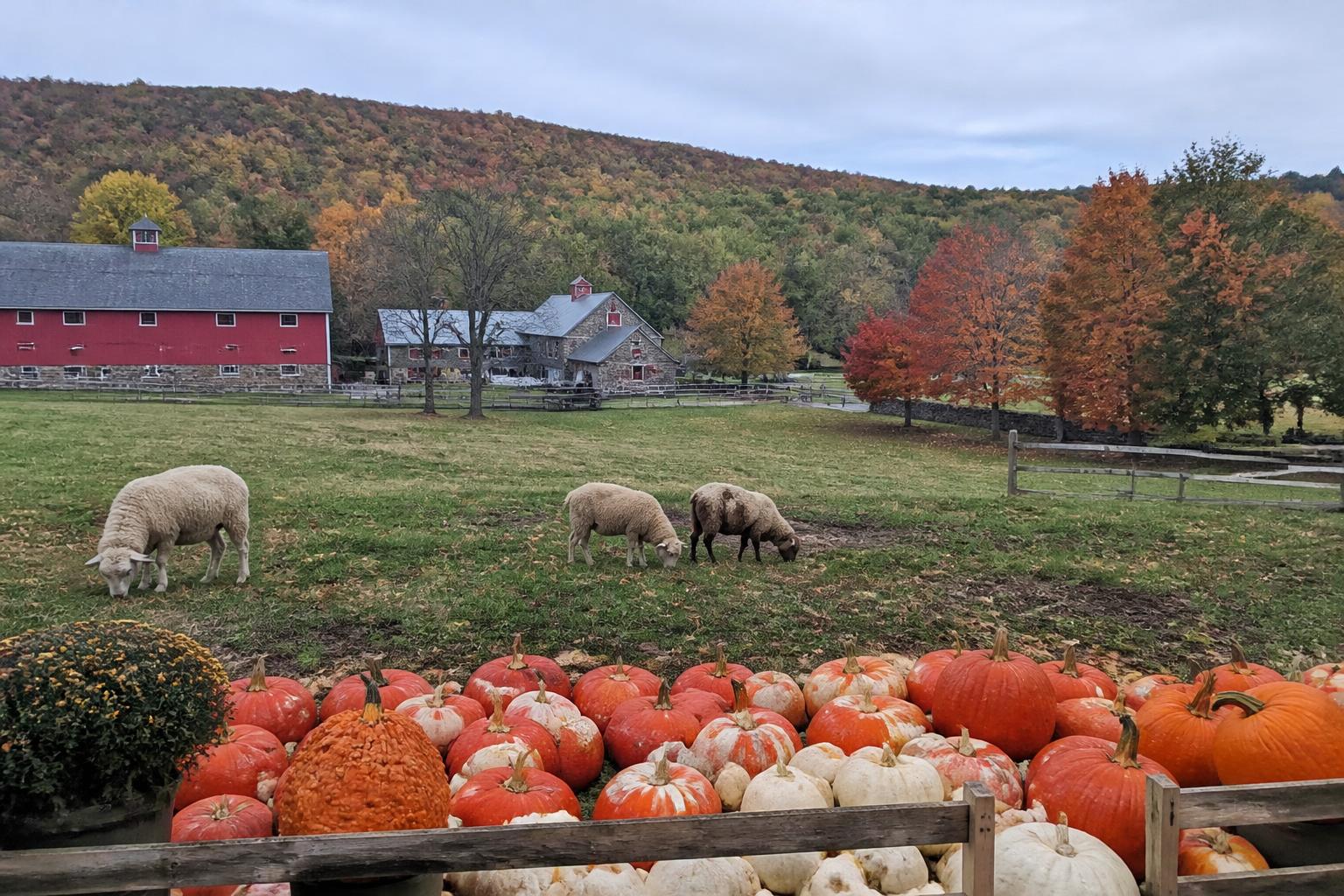 Connecticut Market Update: Specialty Crop Support and Seasonal Pricing Trends - AgroPost