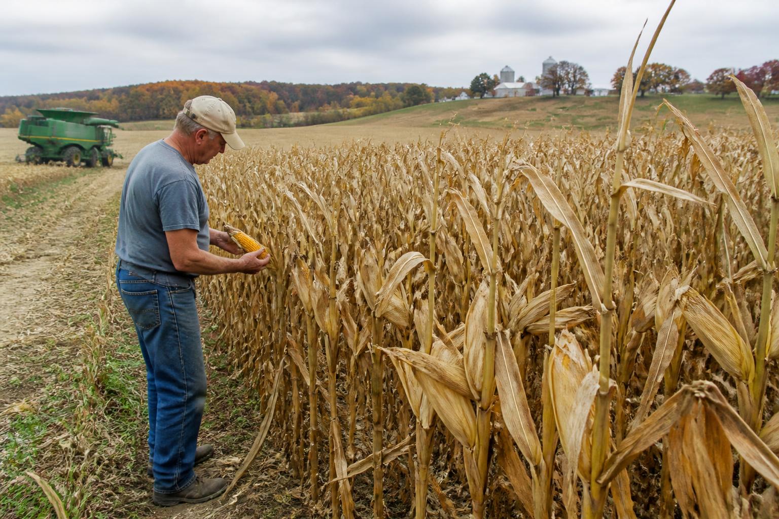 Indiana Harvest Logistics: Navigating Fuel Costs and Regulatory Hurdles