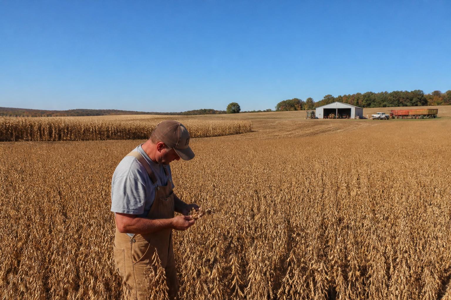 North Carolina Logistics: Navigating Drought Impacts and Supply Chain Pressures - AgroPost