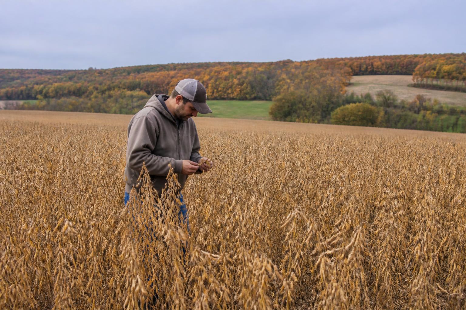 Louisiana Market Update: Fertilizer Costs and Export Logistics Heading into Late Fall