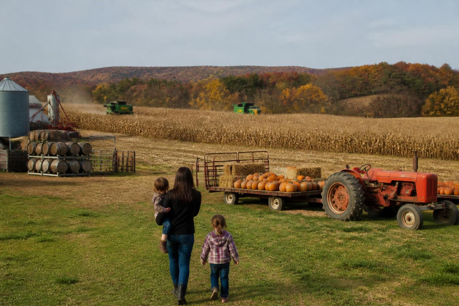 New York Ag Logistics: Managing Fuel Costs and Supply Chain Flux this Fall