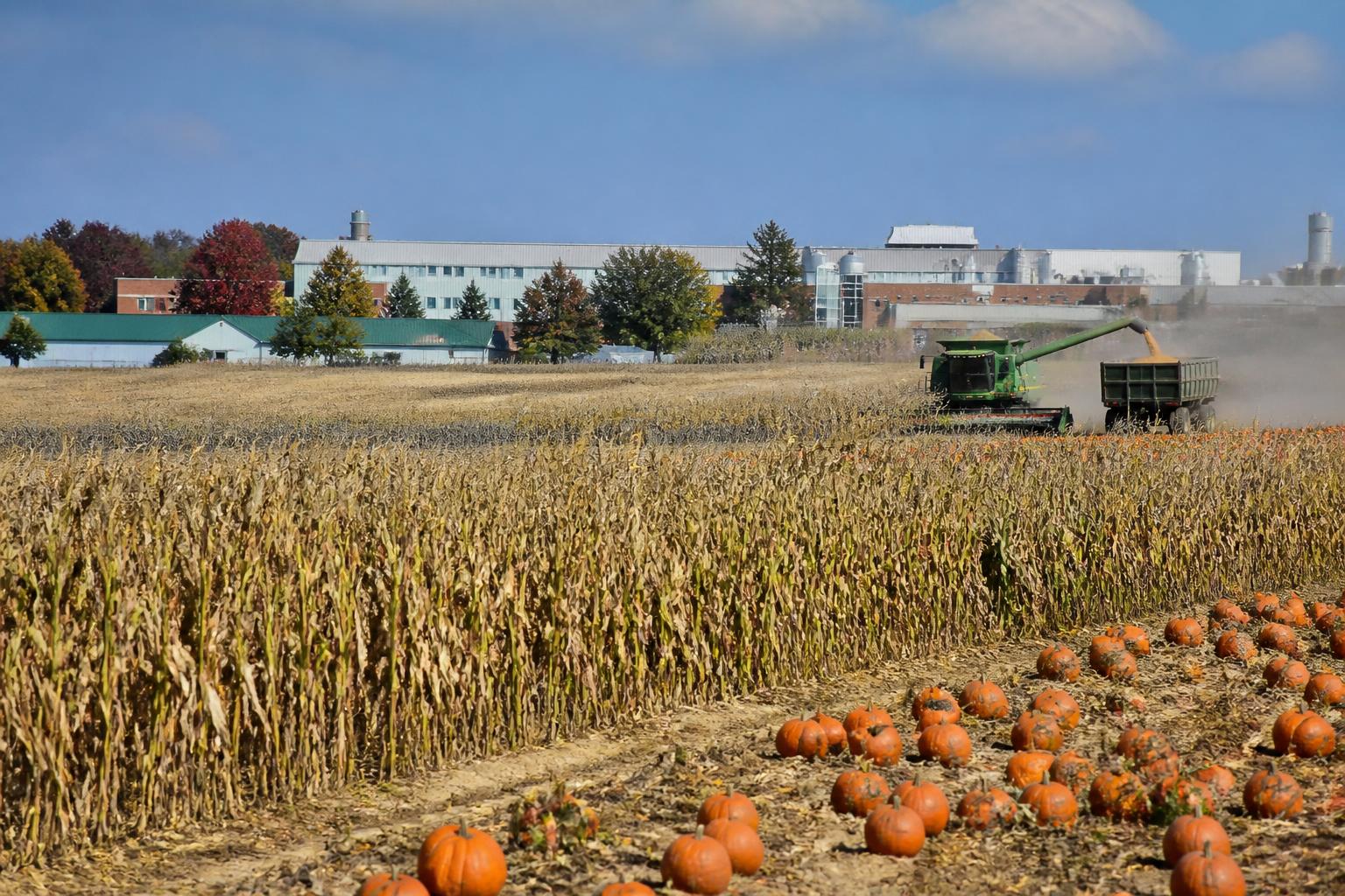 Strengthening Florida Agriculture: Research and Border Protection Strategies