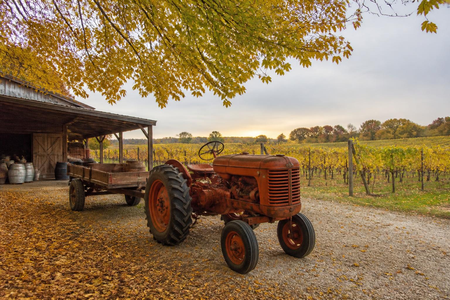 Texas Farm Risk Management: Leveraging Updated Revenue Protection Tools - AgroPost