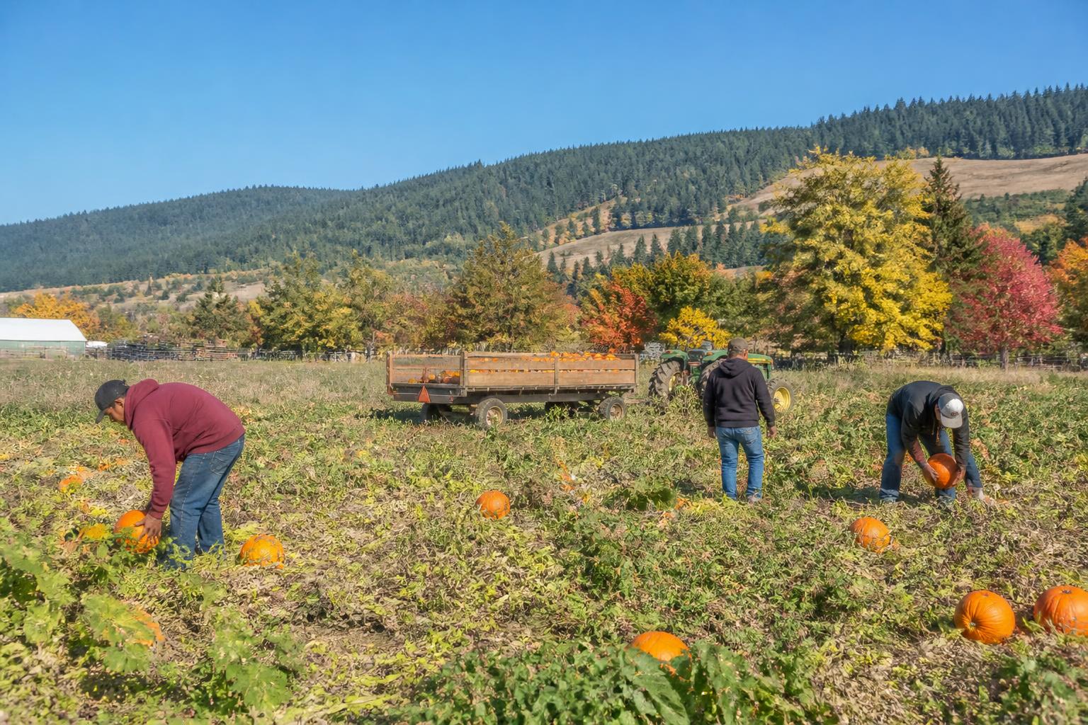 Oregon Infrastructure and Regulatory Updates: A Fall Market Outlook