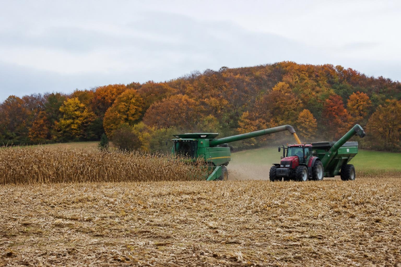 Minnesota Fall Logistics Update: Managing Harvest Flow and Infrastructure