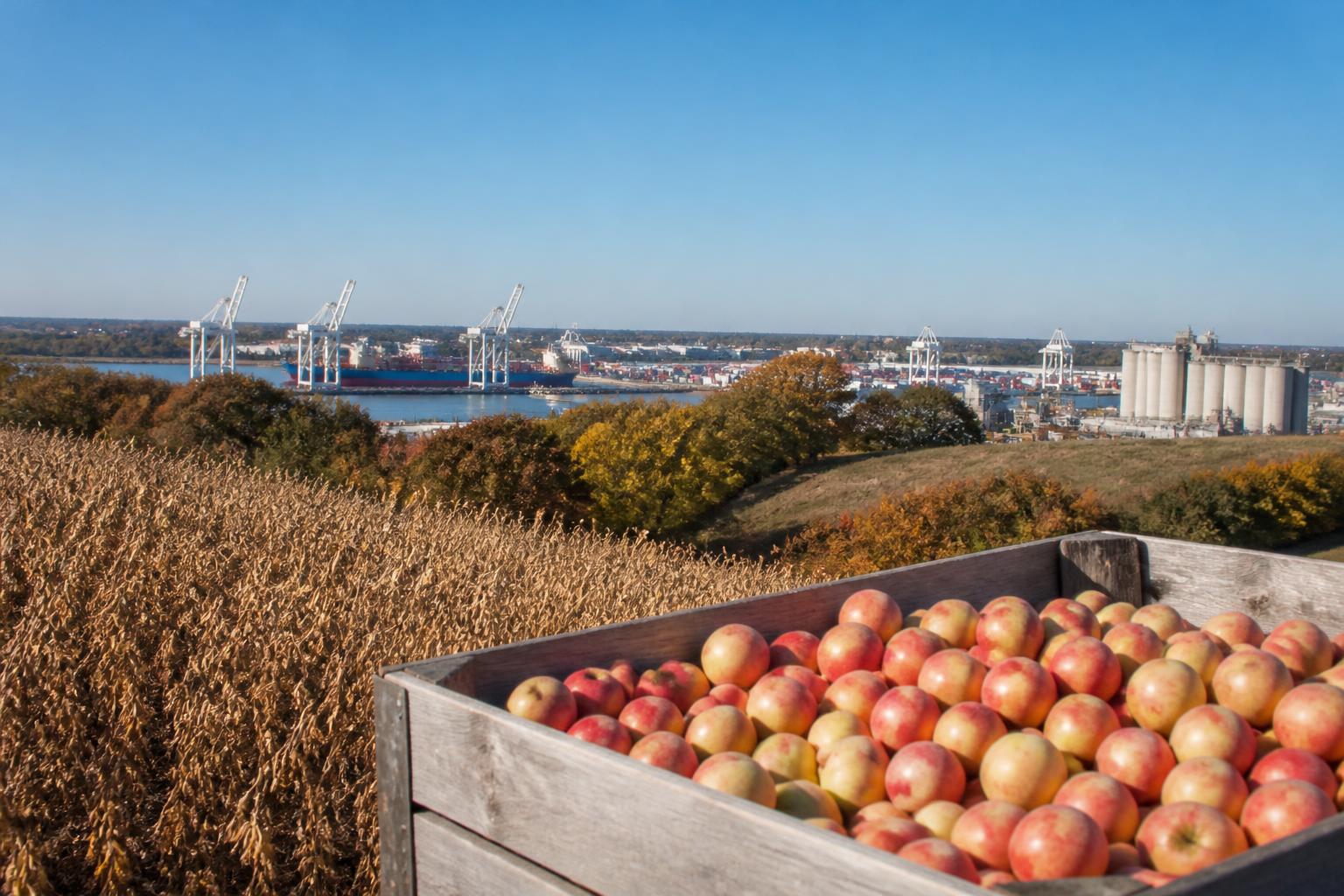 Georgia's Agricultural Export Flow: Leveraging Savannah’s Top-Tier Port Infrastructure