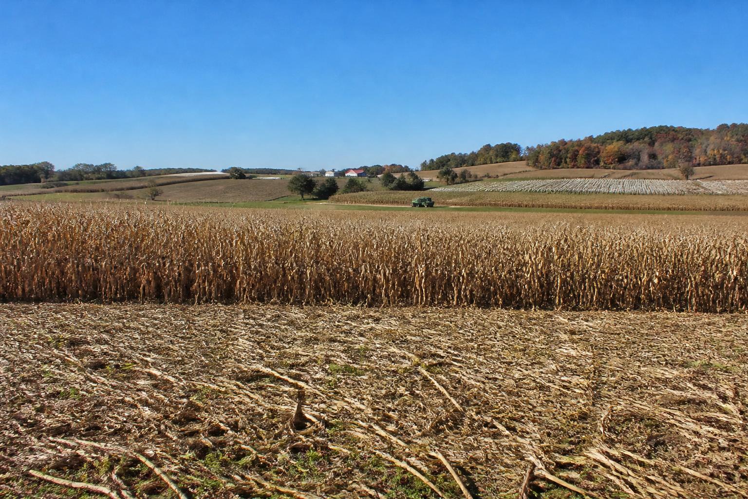 Tennessee Producers Maintain Crop Quality as Harvest Gains Momentum