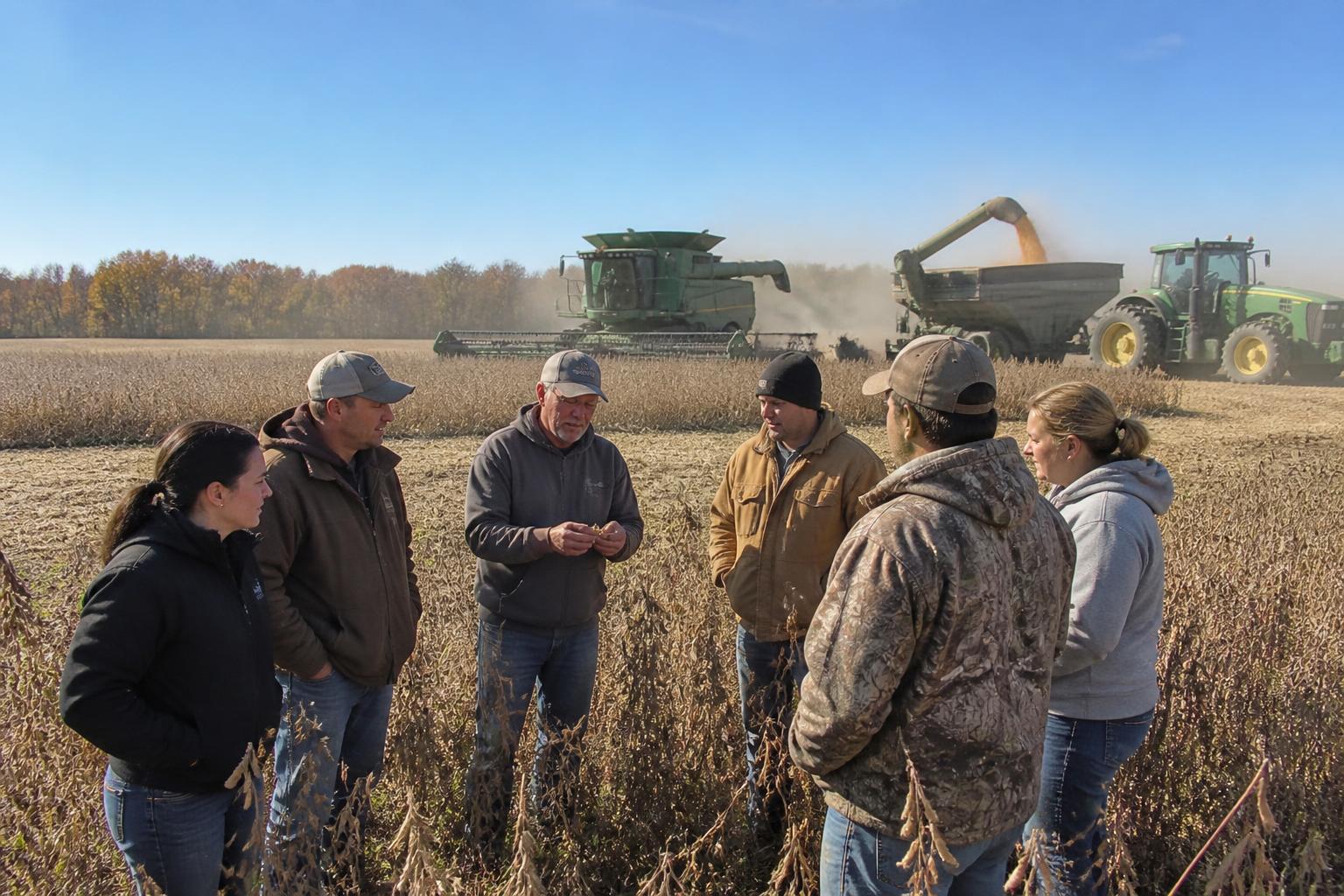 Illinois Grain Marketing: Navigating Low-Price Pressures This Fall
