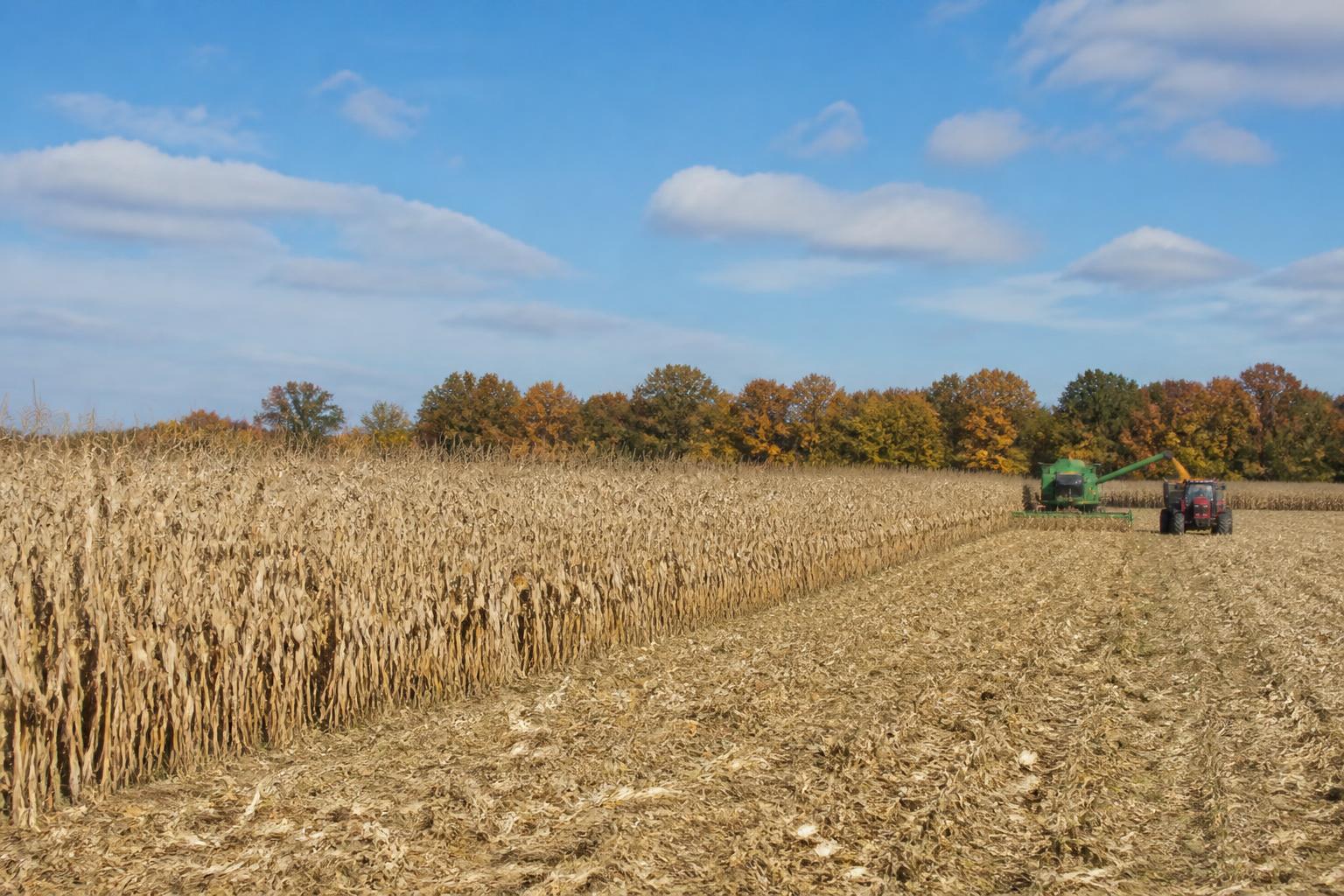 Indiana Logistics Update: Navigating Busy Fall Roads and Regulatory Shifts