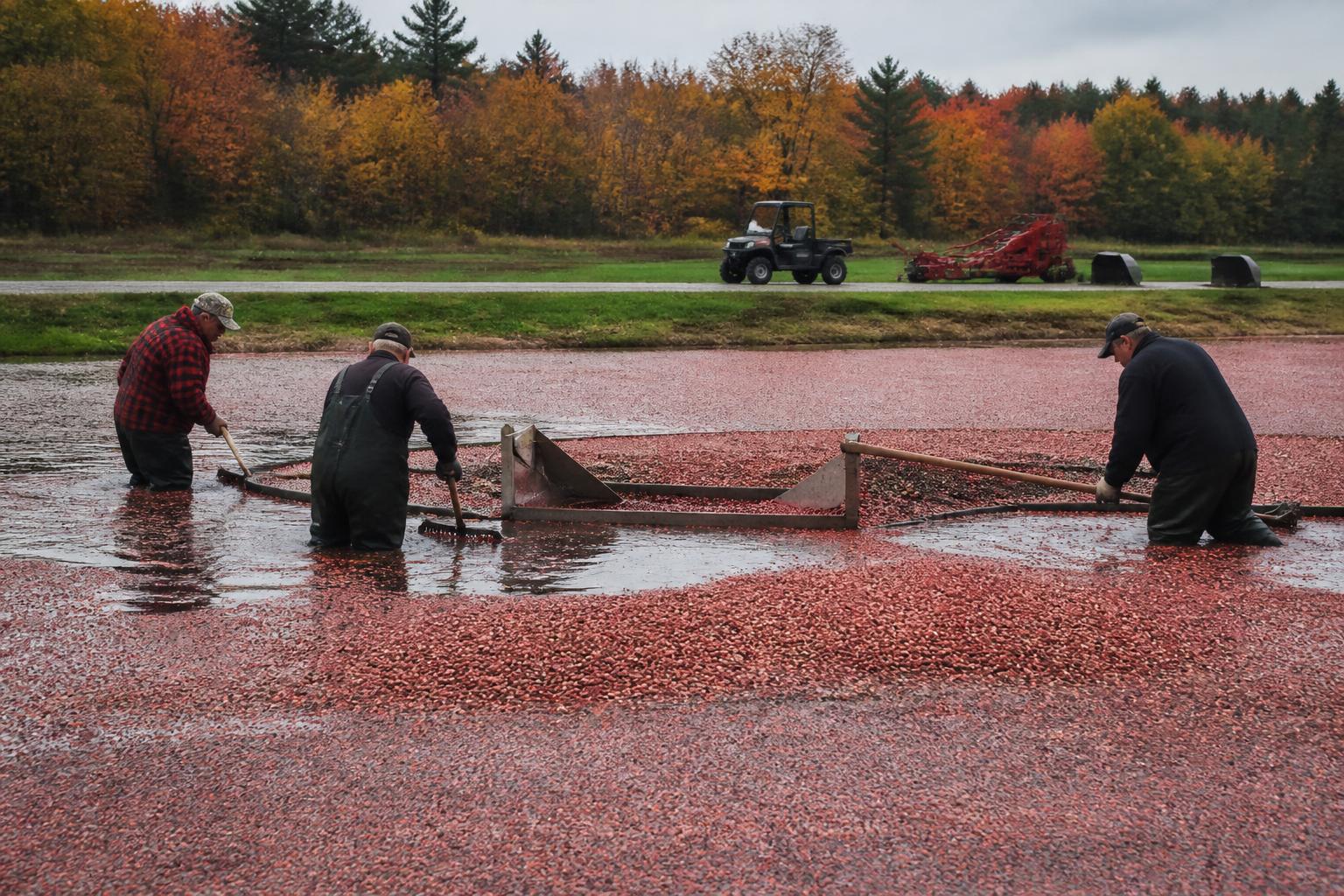 Massachusetts Ag Sector Navigates Evolving Pest Management and Regulatory Landscapes