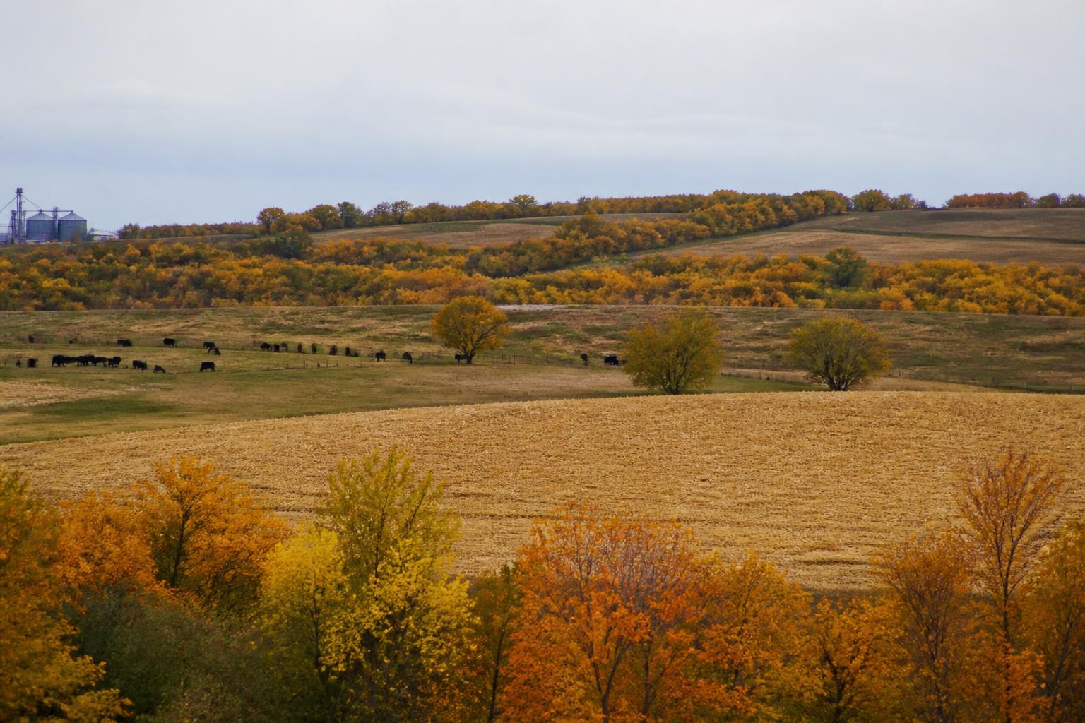 Managing Crop Resilience and Feed Stability in South Dakota This Fall - AgroPost