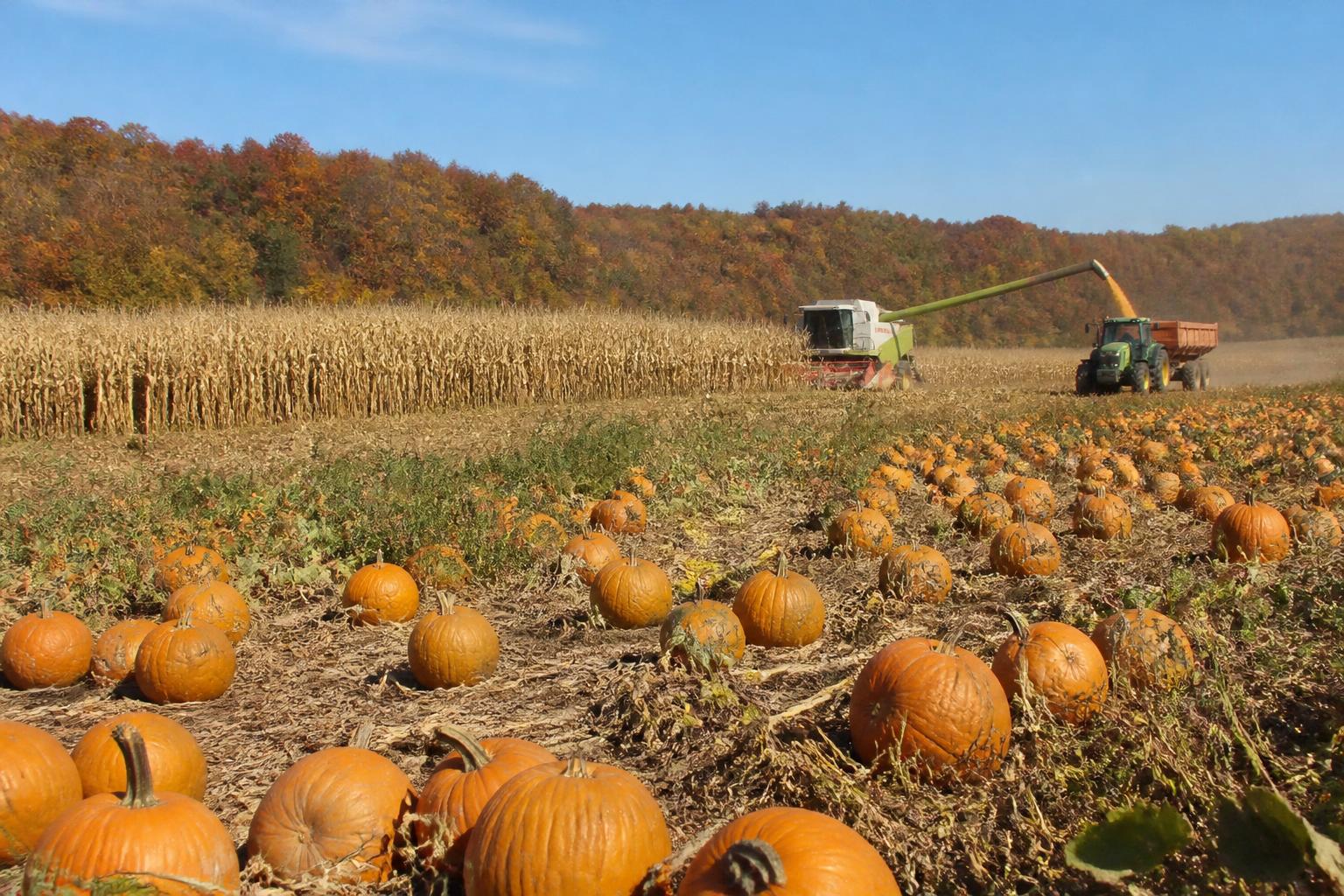 Legislative Update: Impact of Stalled Wildlife Policy on Connecticut Farmland - AgroPost