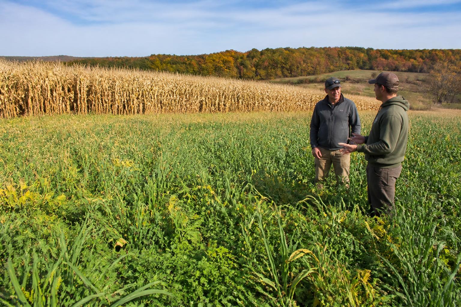 Fall Operational Pressures: Navigating Logistics and Input Costs in New York - AgroPost