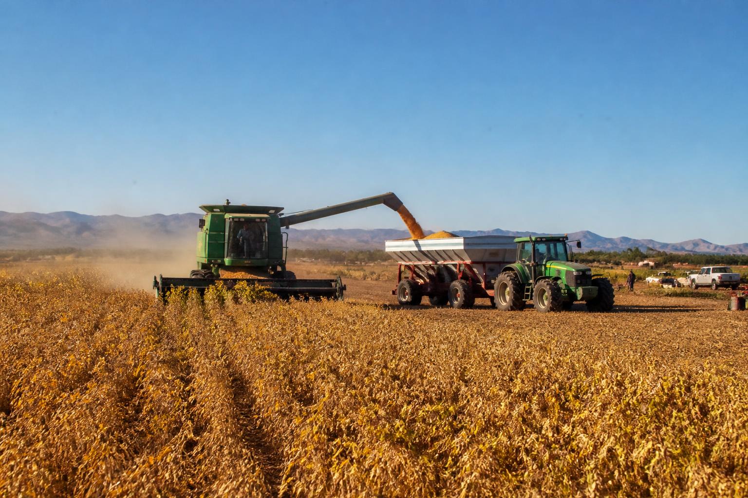 Arizona Logistics Outlook: Managing Seasonal Shifts and Infrastructure Pressures - AgroPost