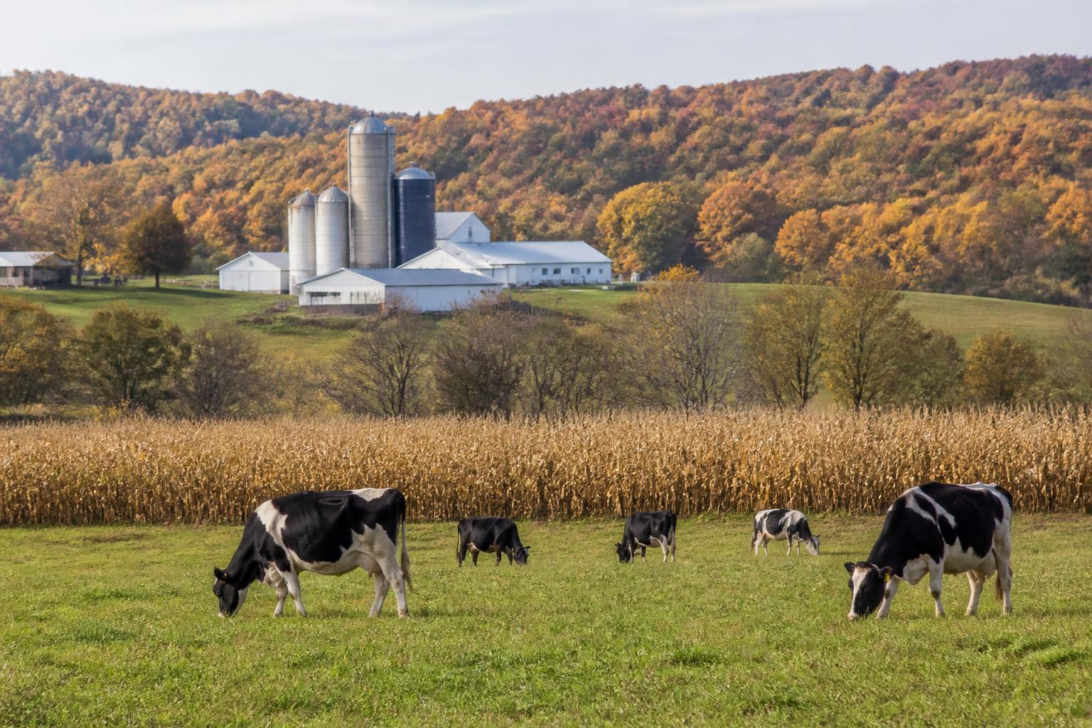 Pennsylvania Agricultural Logistics: Navigating Infrastructure and Labor Challenges This Fall - AgroPost
