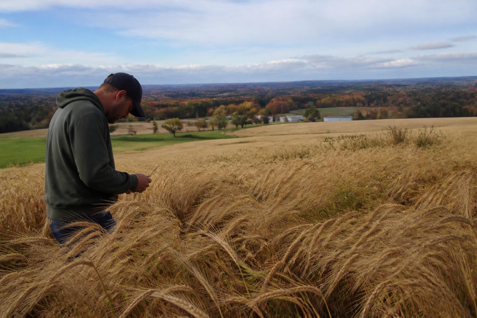 Optimizing Soil Health and Crop Diversity for Oregon Producers this Fall