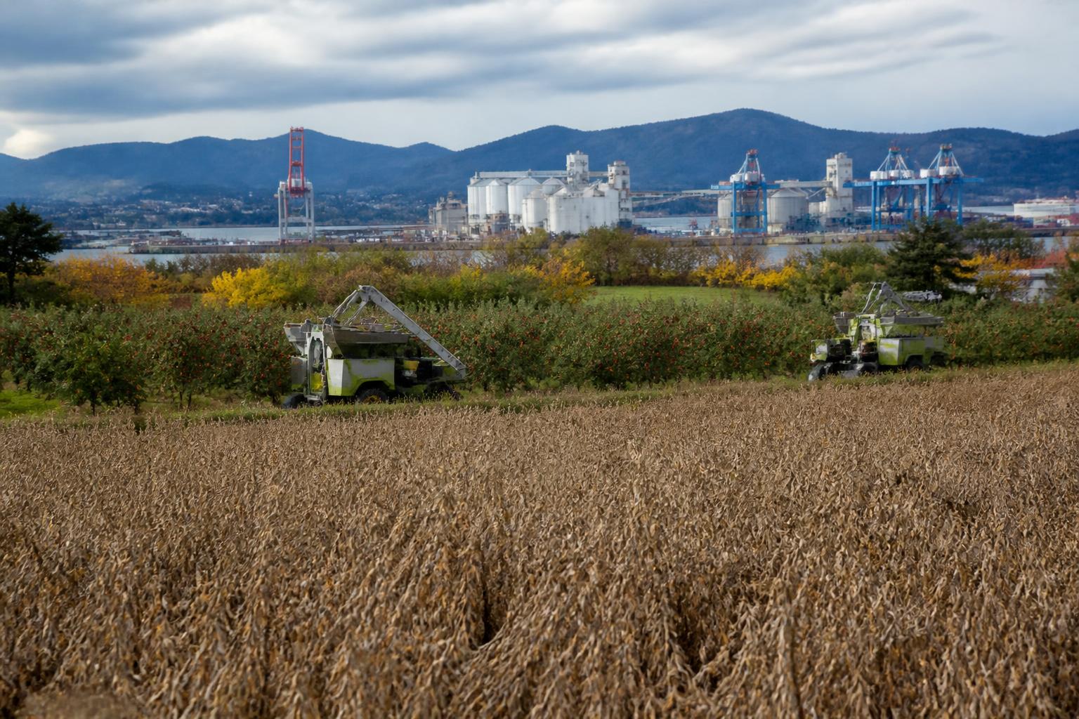 Washington Ag Sector Balances Infrastructure Needs and Innovation Hurdles