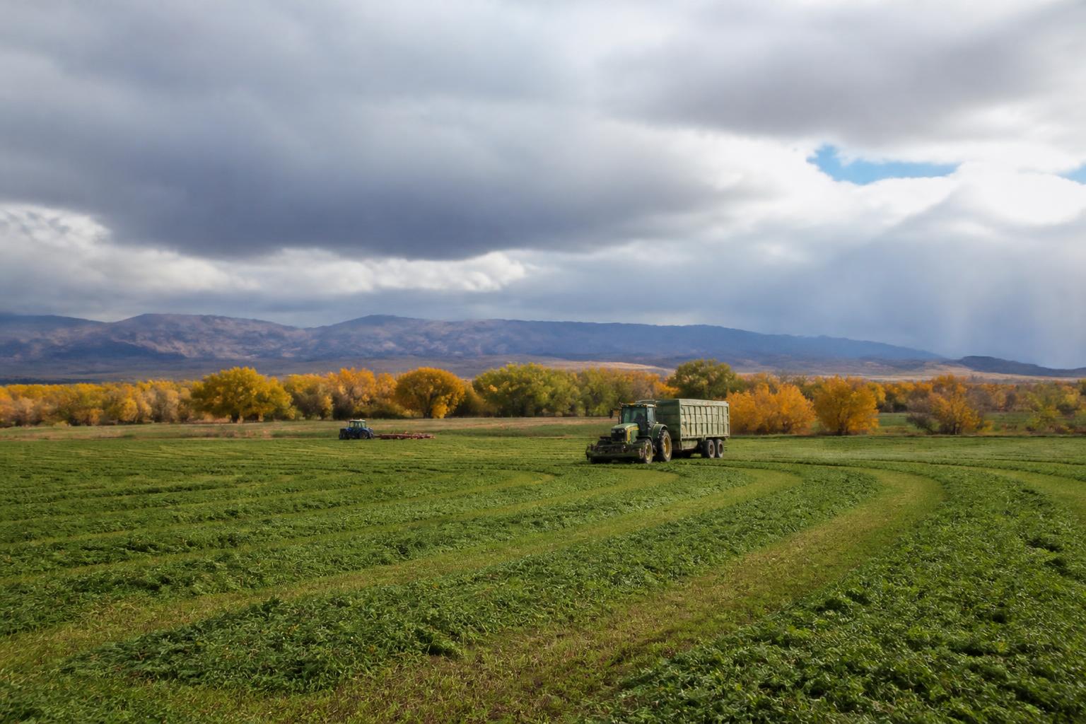 Utah Producers Navigate Seasonal Logistics and Input Pressures