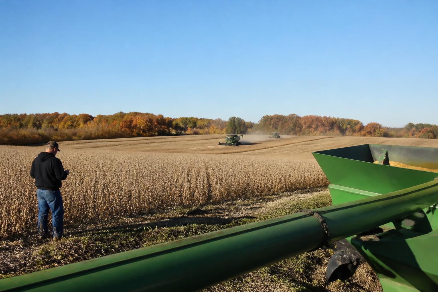 Iowa Grain Markets: Organic Premiums and Regenerative Shifts in October