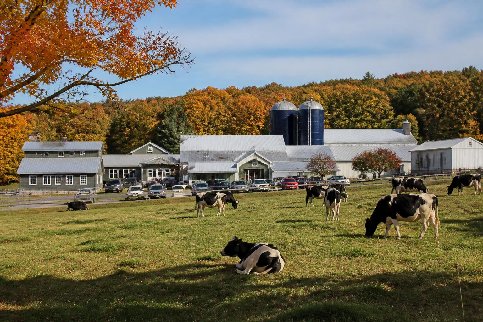 Optimizing Connecticut Farm Logistics: Navigating Seasonal Transport Shifts
